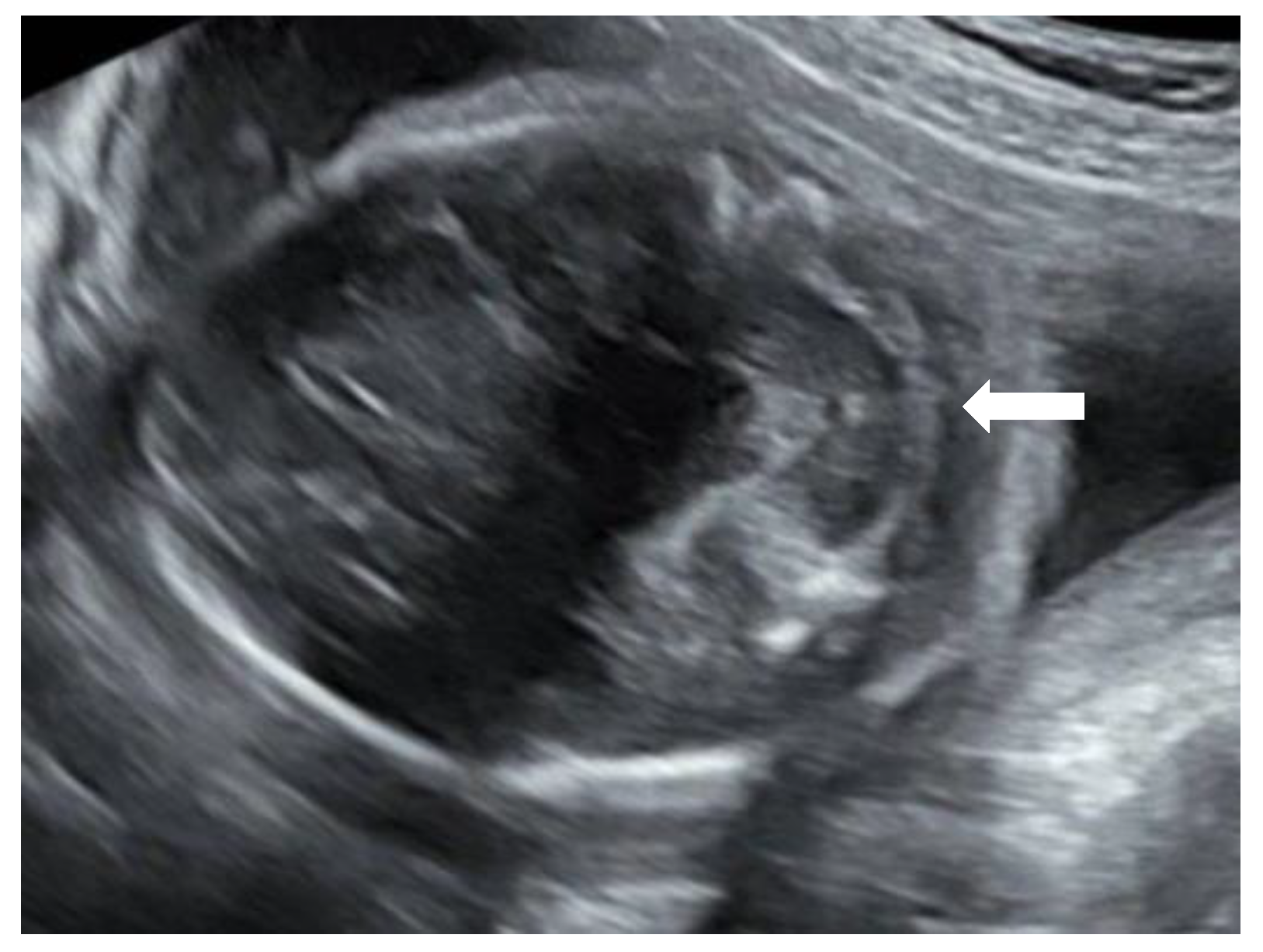 Reprodmed 02 00012 g002 550