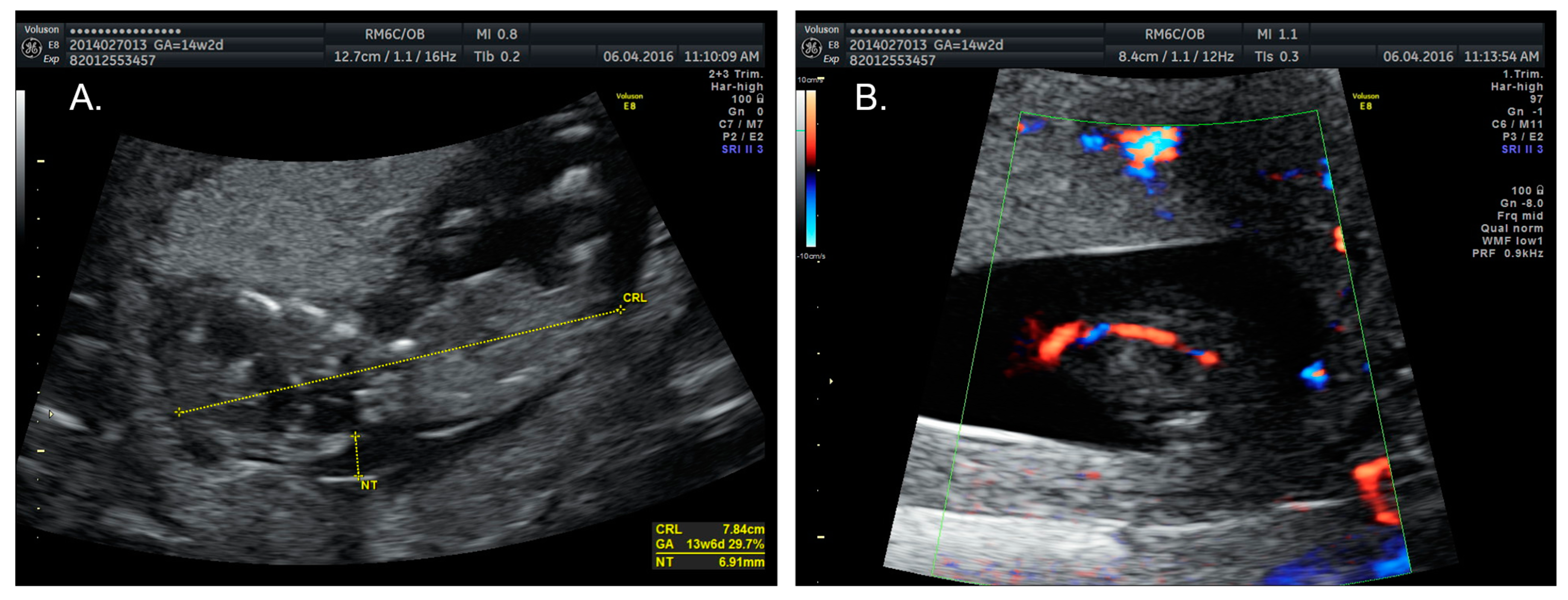 Reprodmed 03 00005 g001
