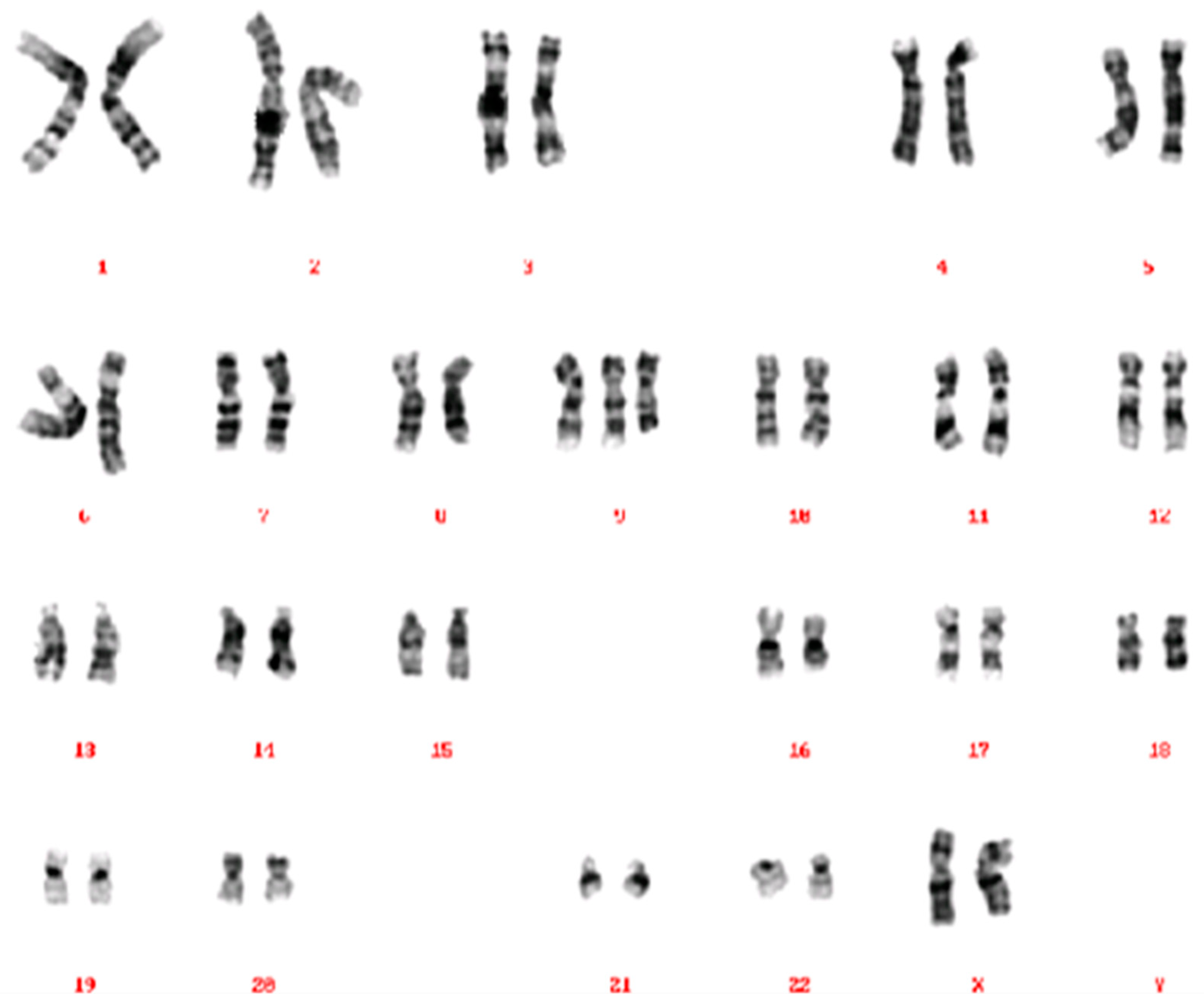 Reprodmed 03 00005 g003