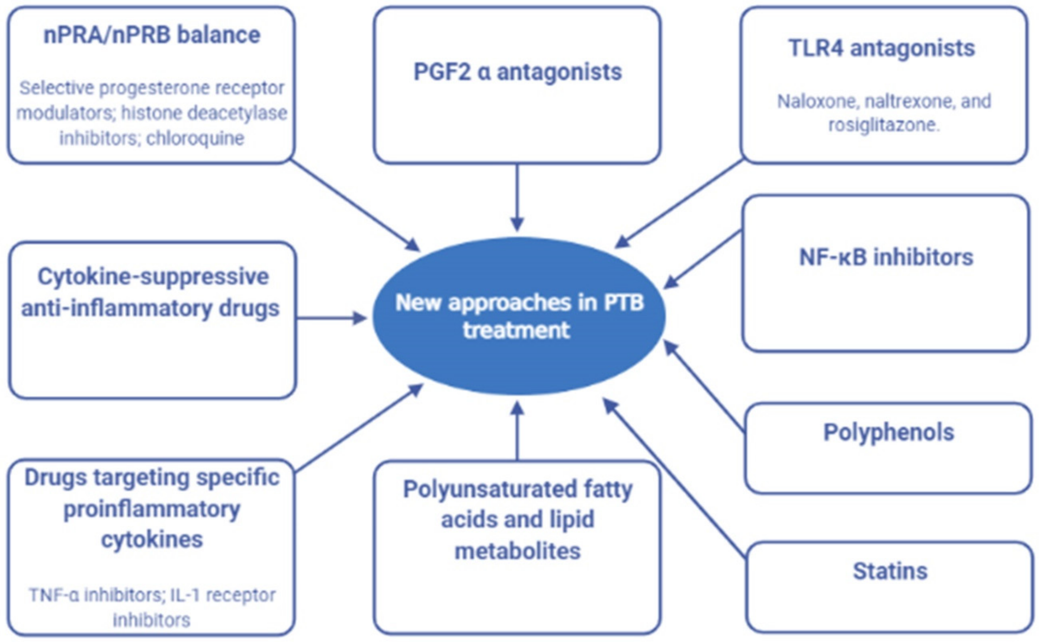 Reprodmed 03 00009 g003 550