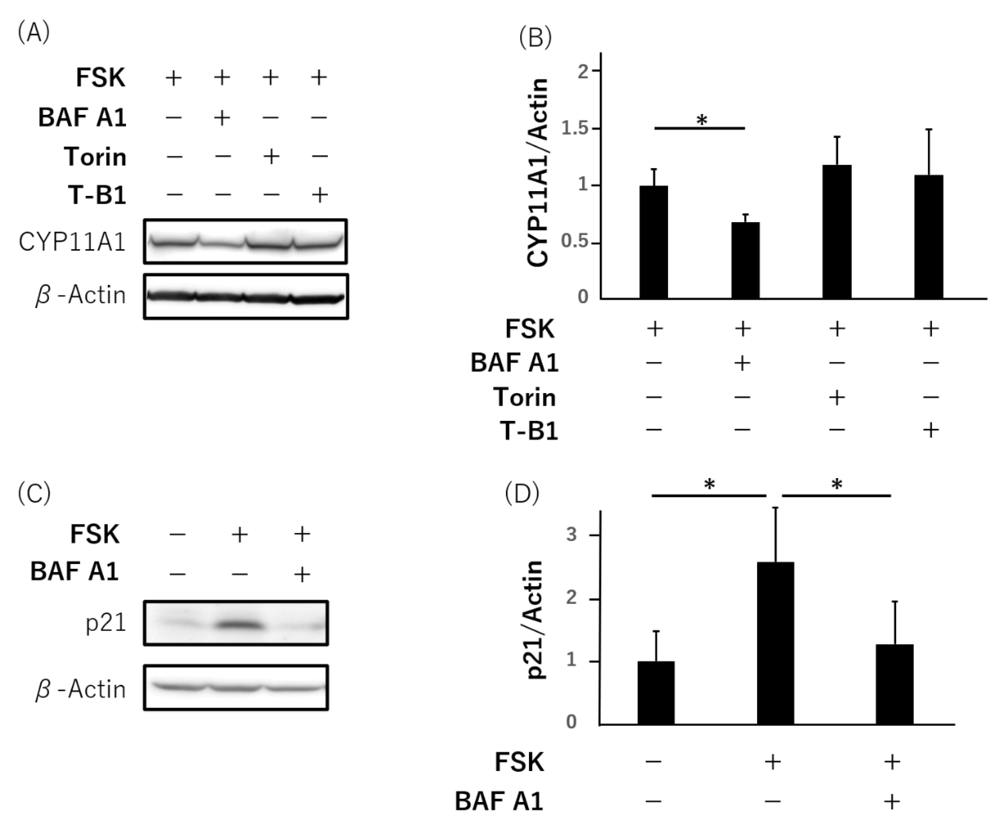 Reprodmed 03 00010 g003a