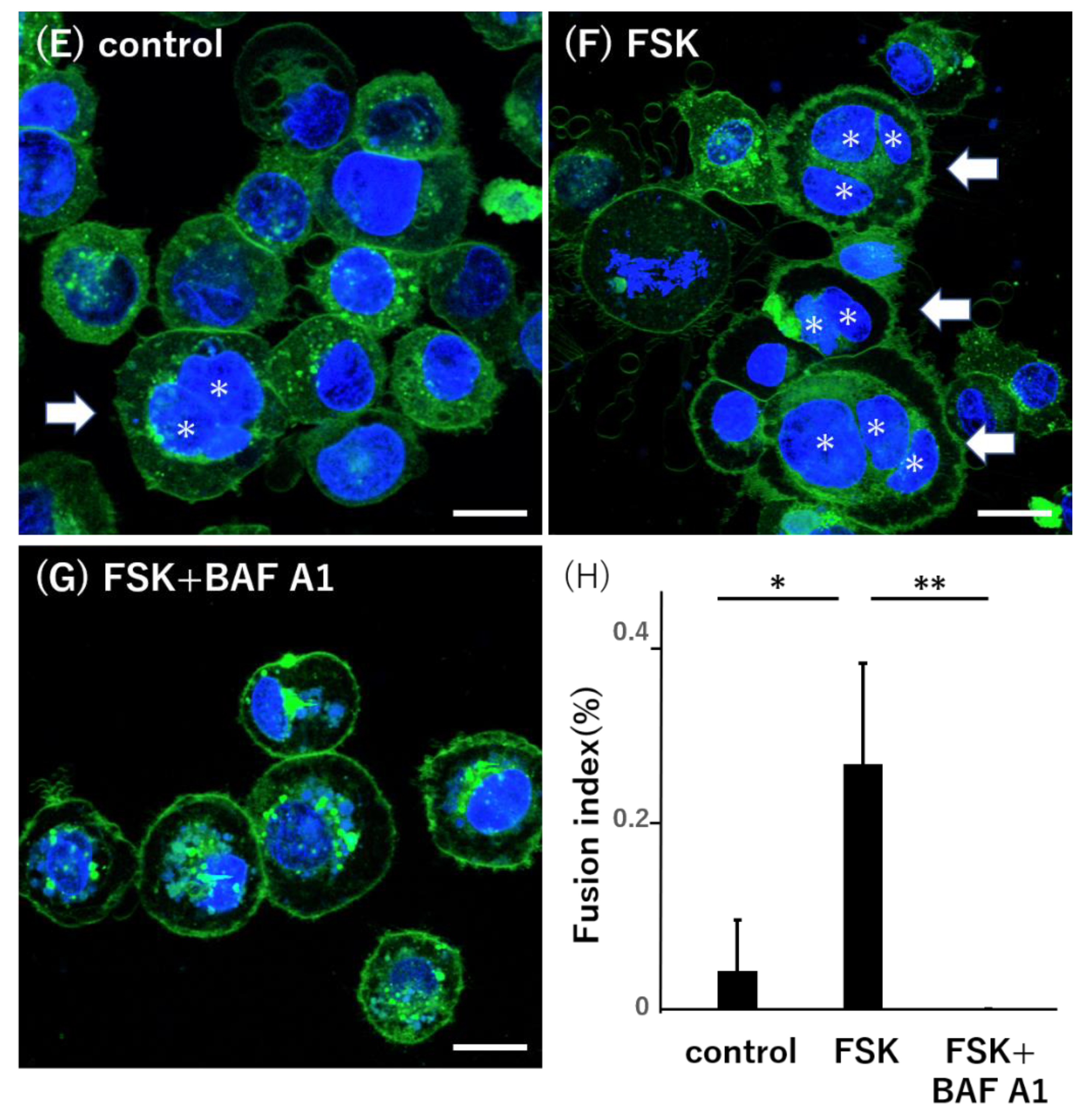 Reprodmed 03 00010 g003b