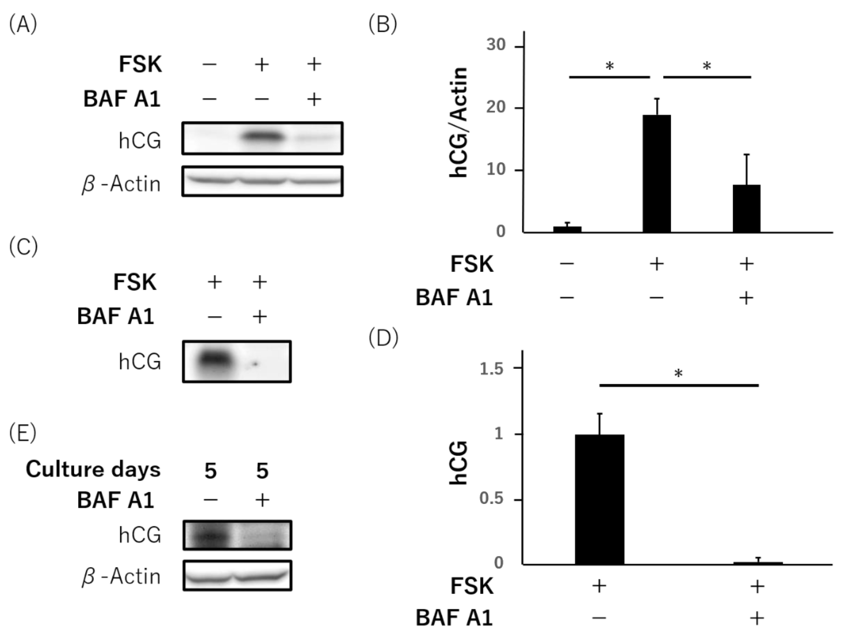 Reprodmed 03 00010 g004