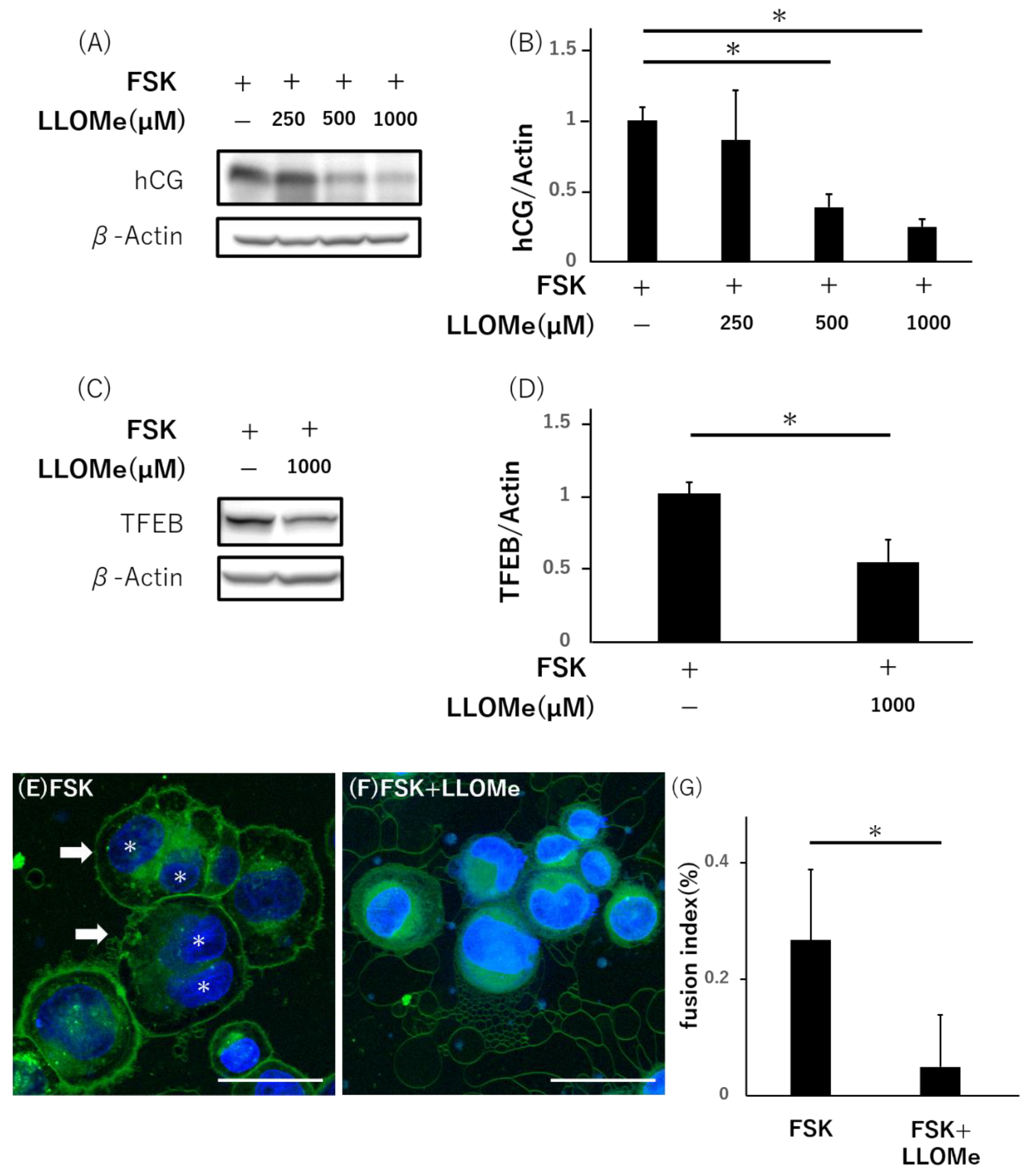 Reprodmed 03 00010 g005