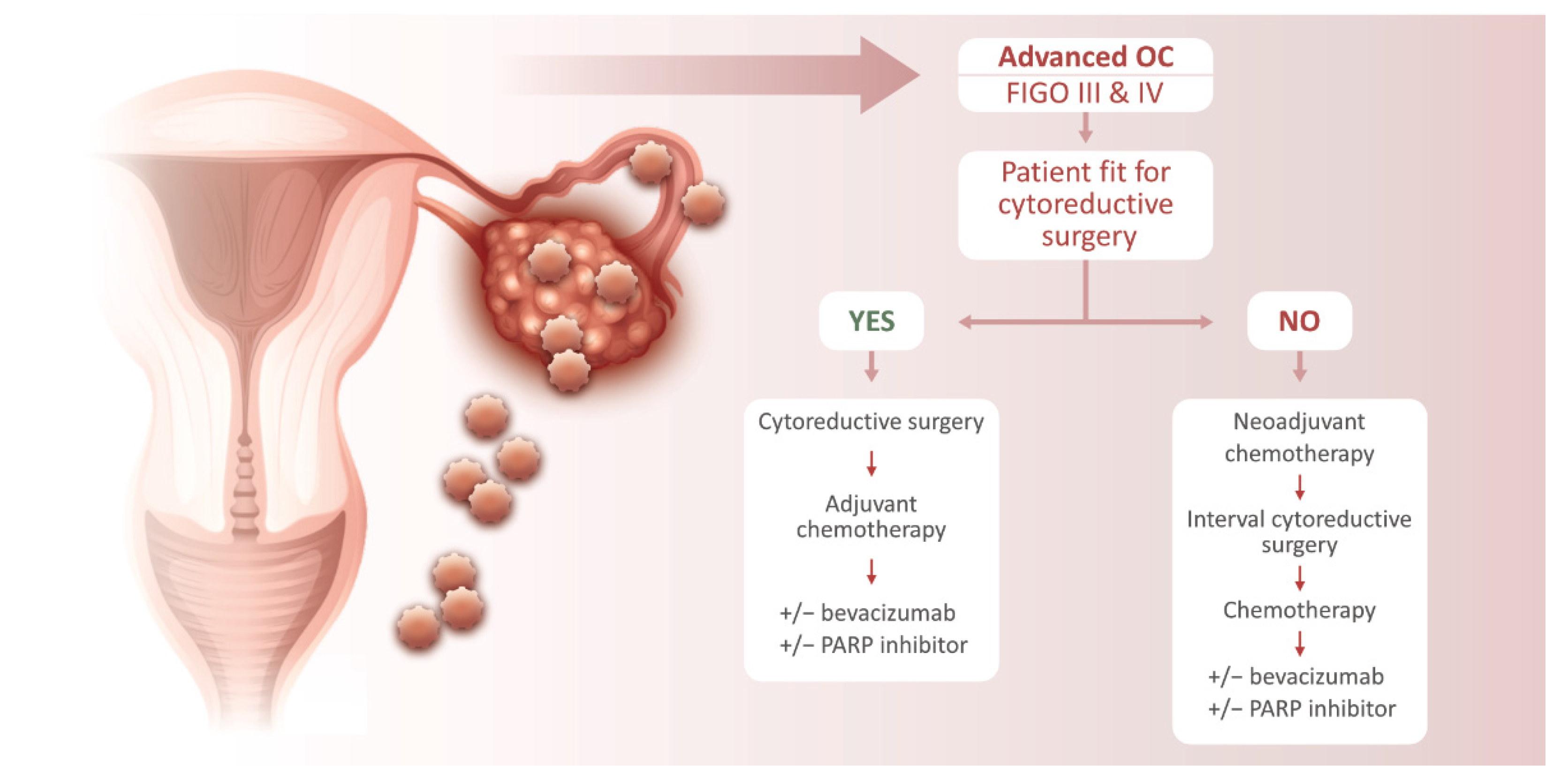 https://www.mdpi.com/reprodmed/reprodmed-03-00011/article_deploy/html/images/reprodmed-03-00011-g001.png