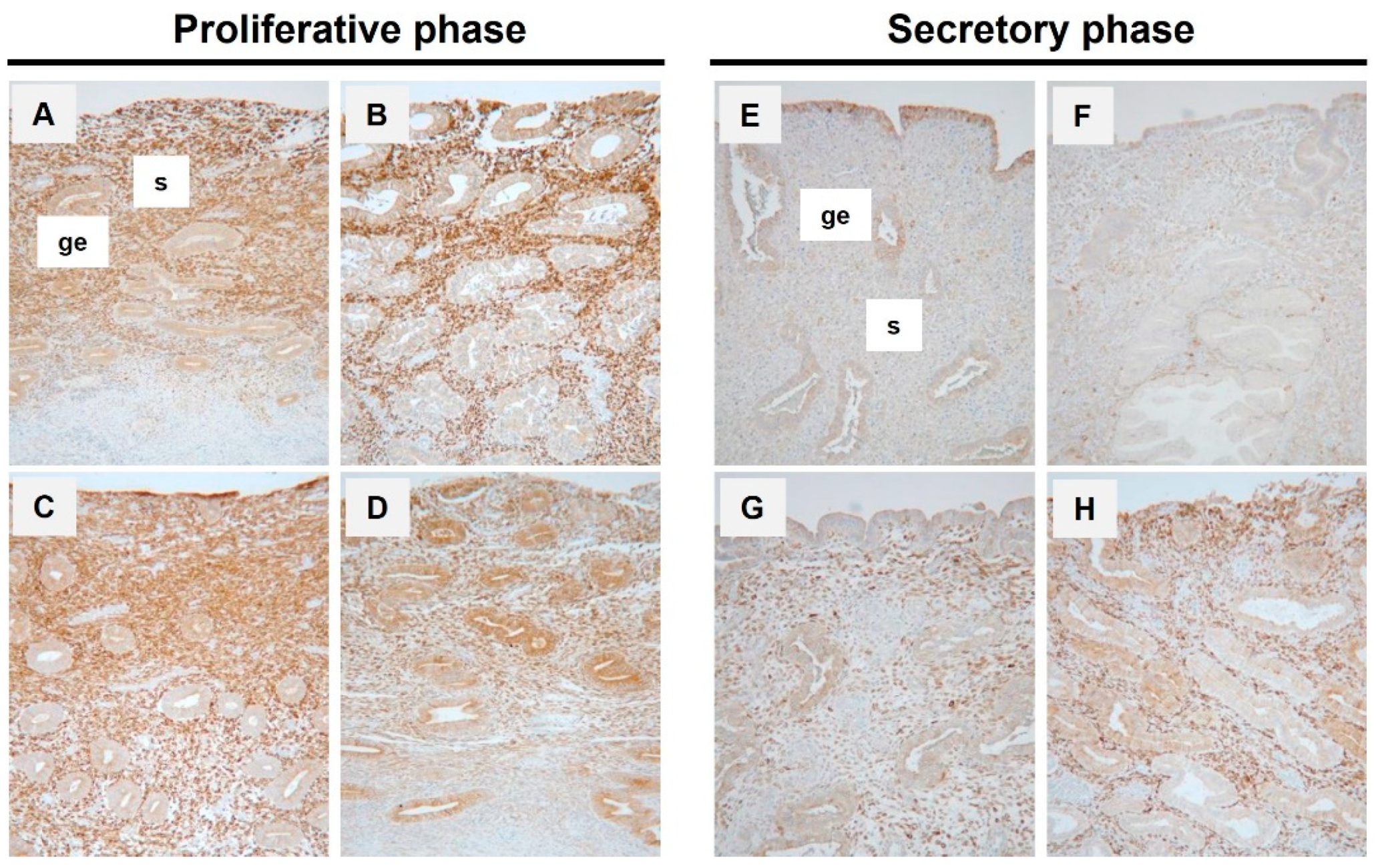 Reprodmed 03 00015 g001