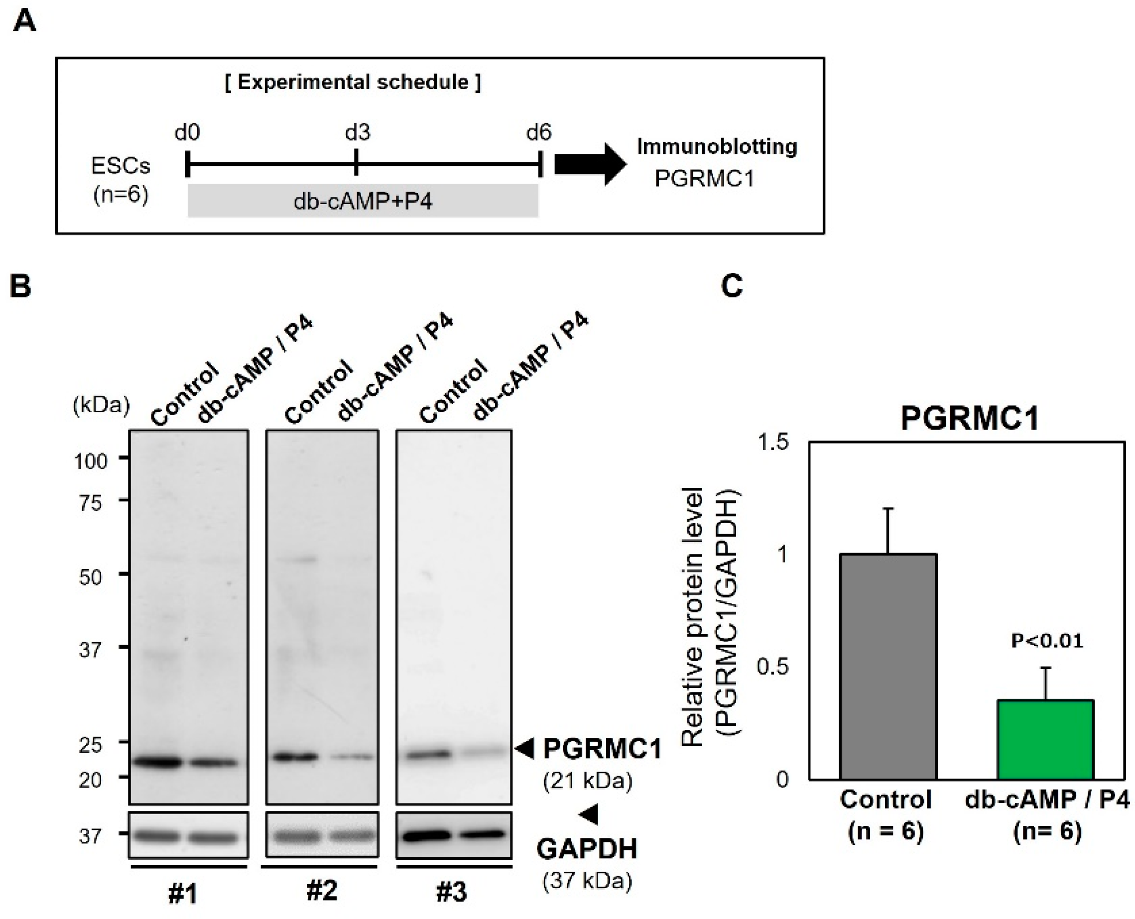 Reprodmed 03 00015 g002