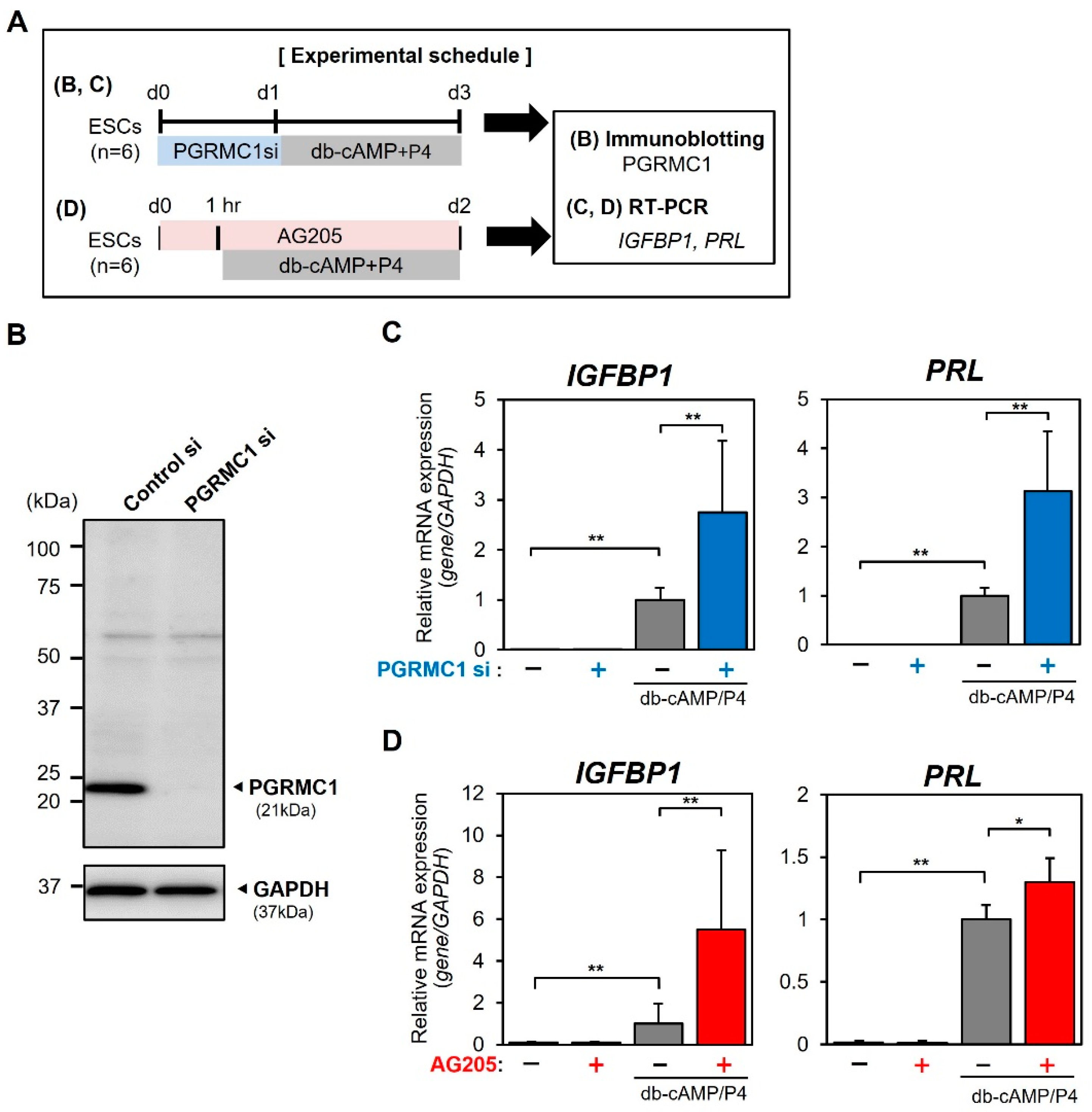 Reprodmed 03 00015 g003