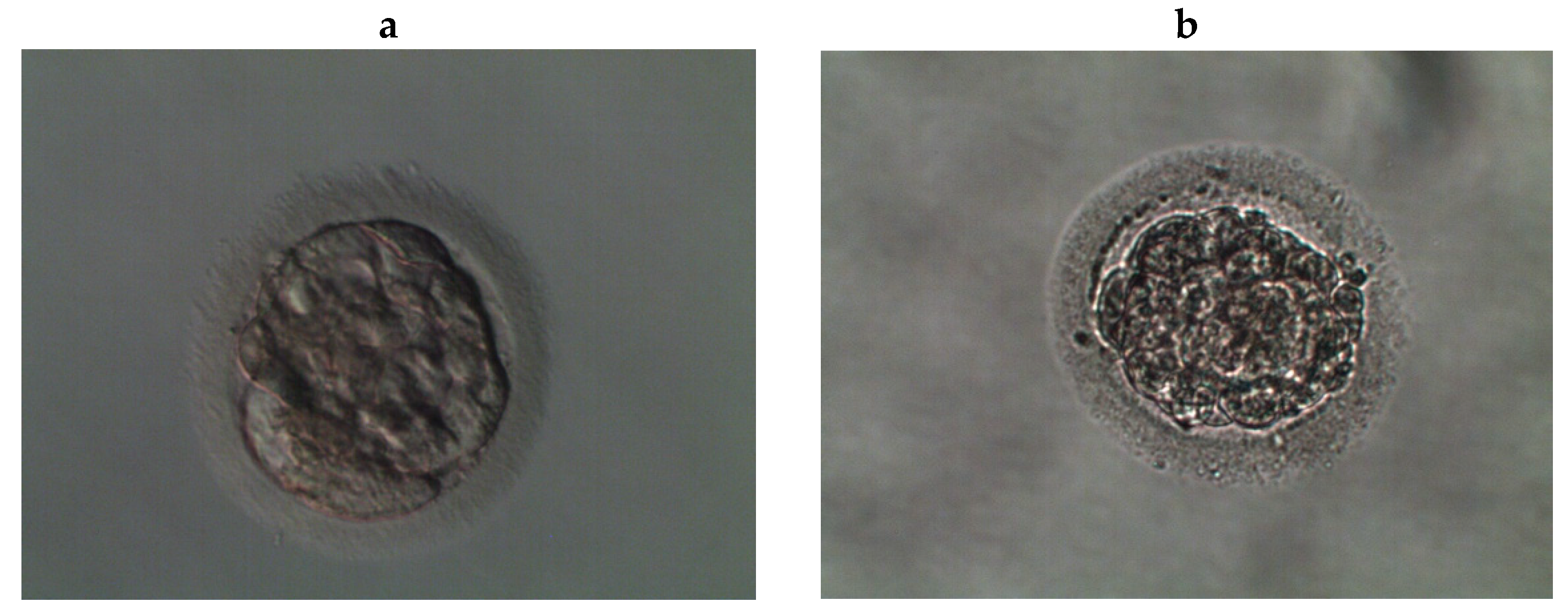 Reprodmed 04 00005 g001 Reprodmed 04 00005 g001