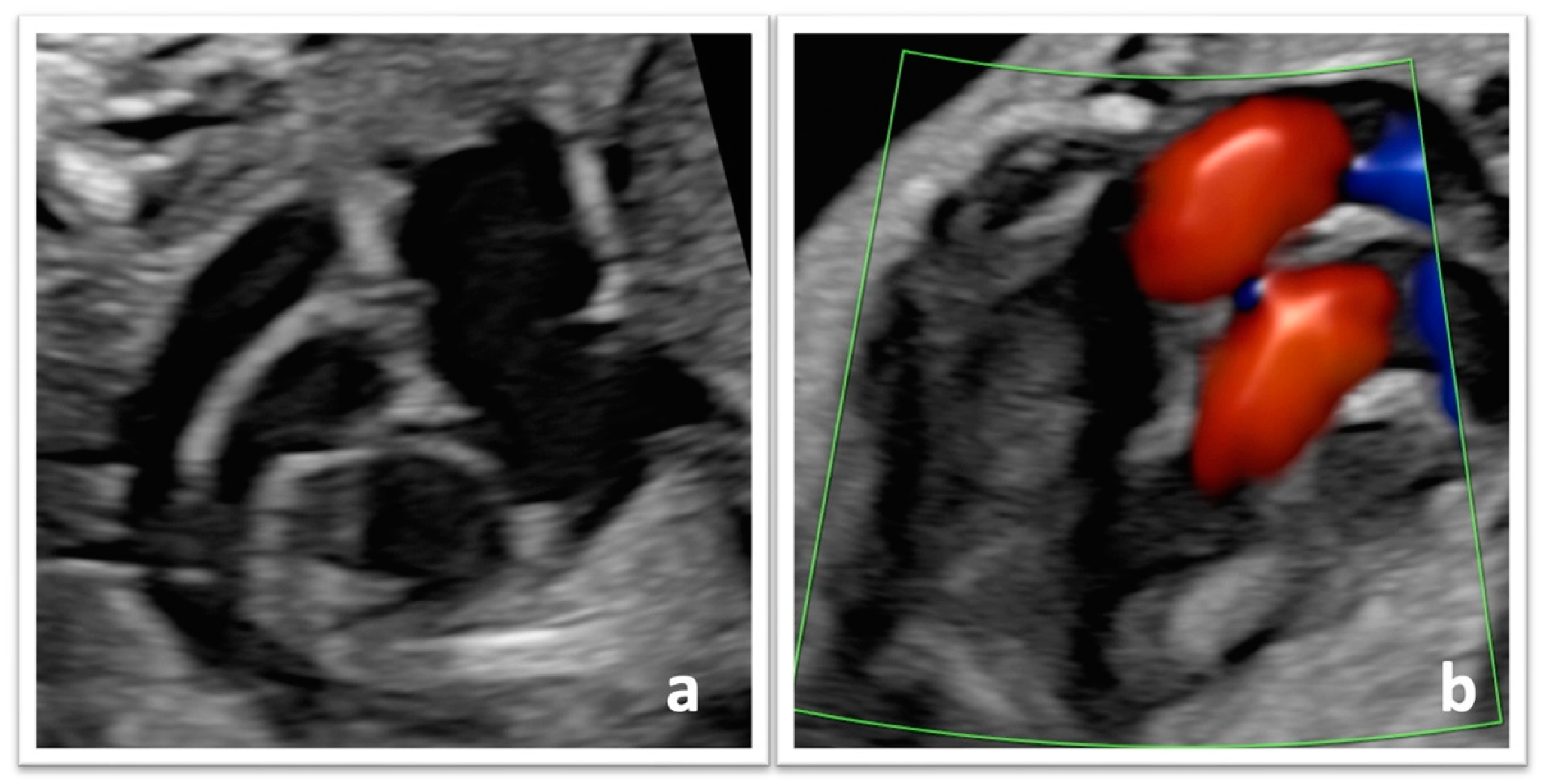 Reprodmed 04 00021 g001 Reprodmed 04 00021 g001