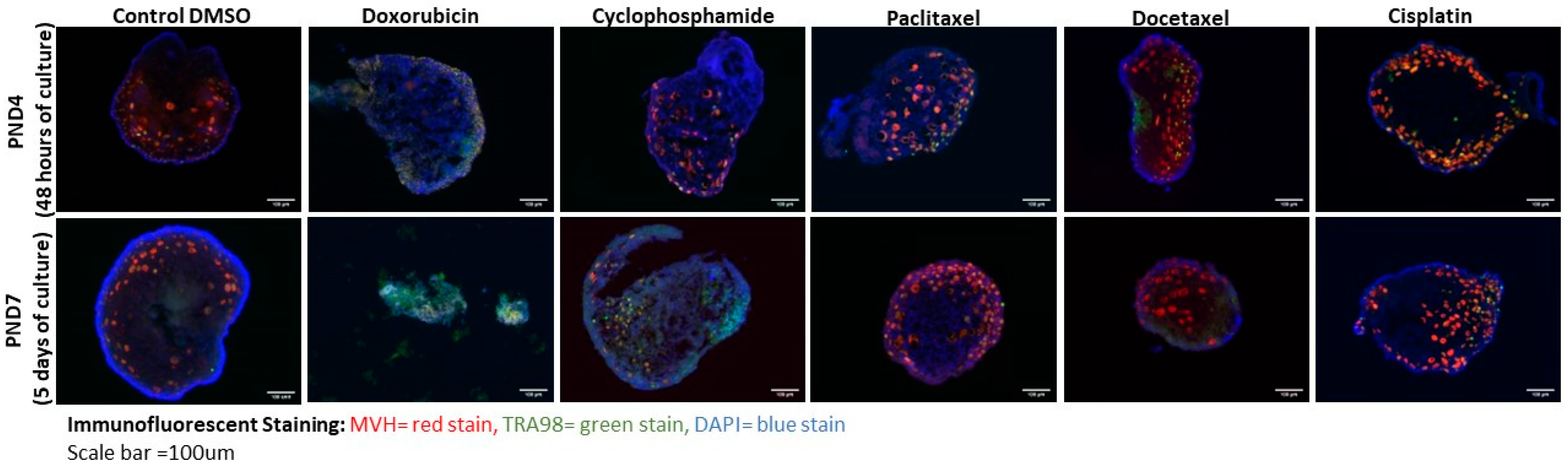 Reprodmed 04 00023 g003