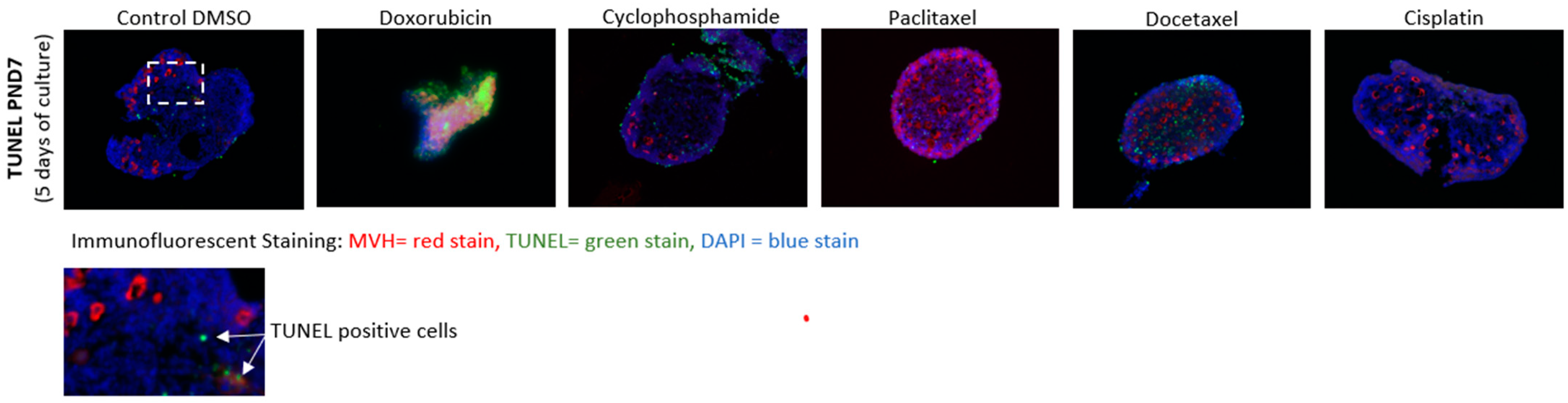 Reprodmed 04 00023 g004