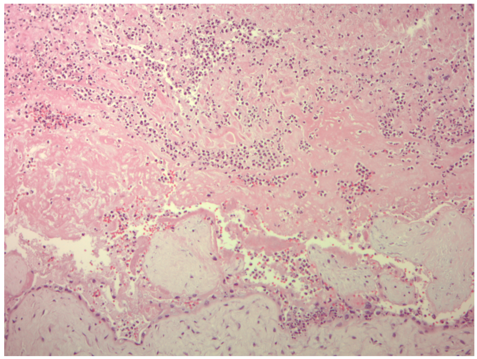 Reprodmed 05 00016 g001