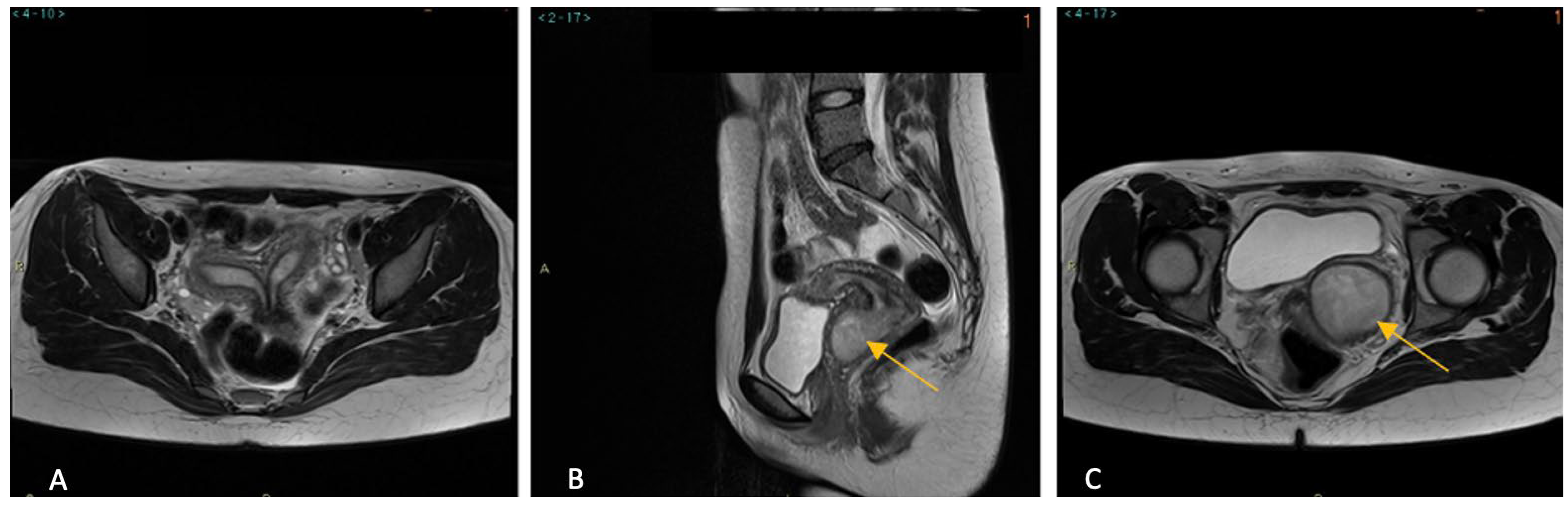 Reprodmed 05 00018 g001
