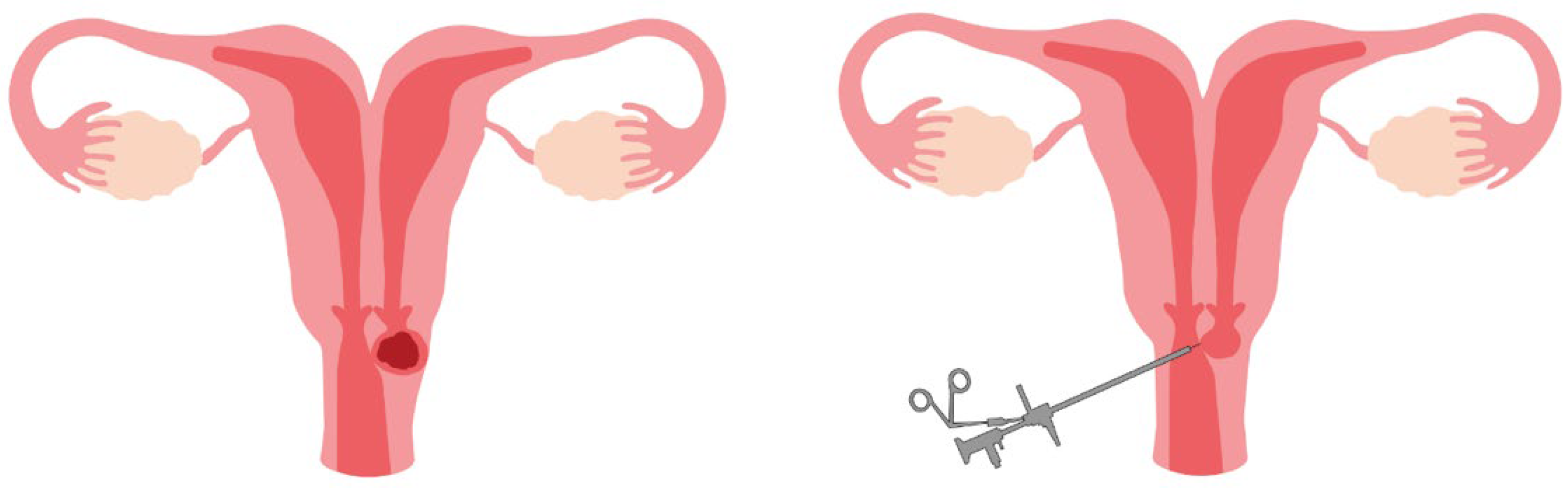 Reprodmed 05 00018 g003