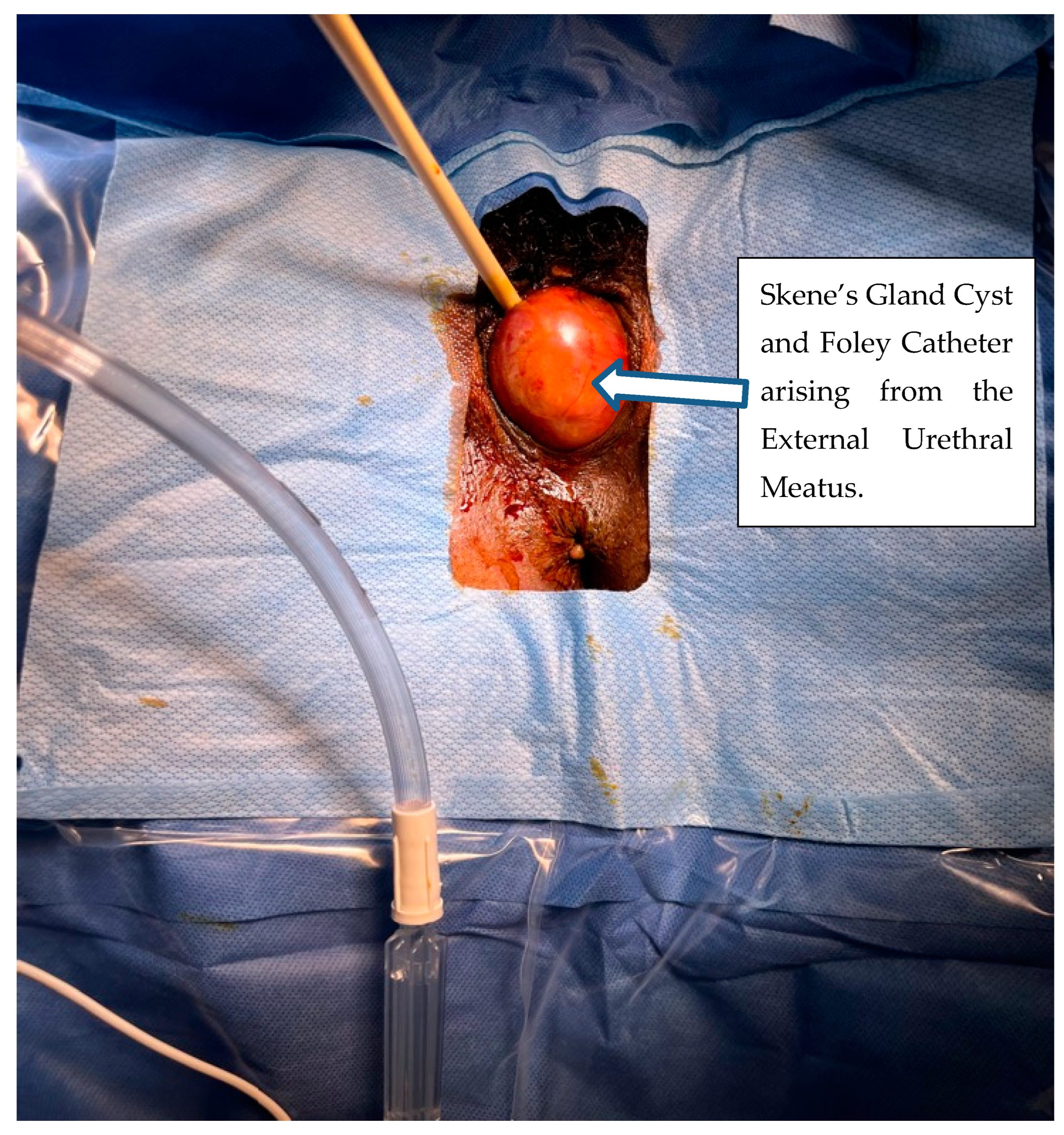 Reprodmed 05 00027 g004