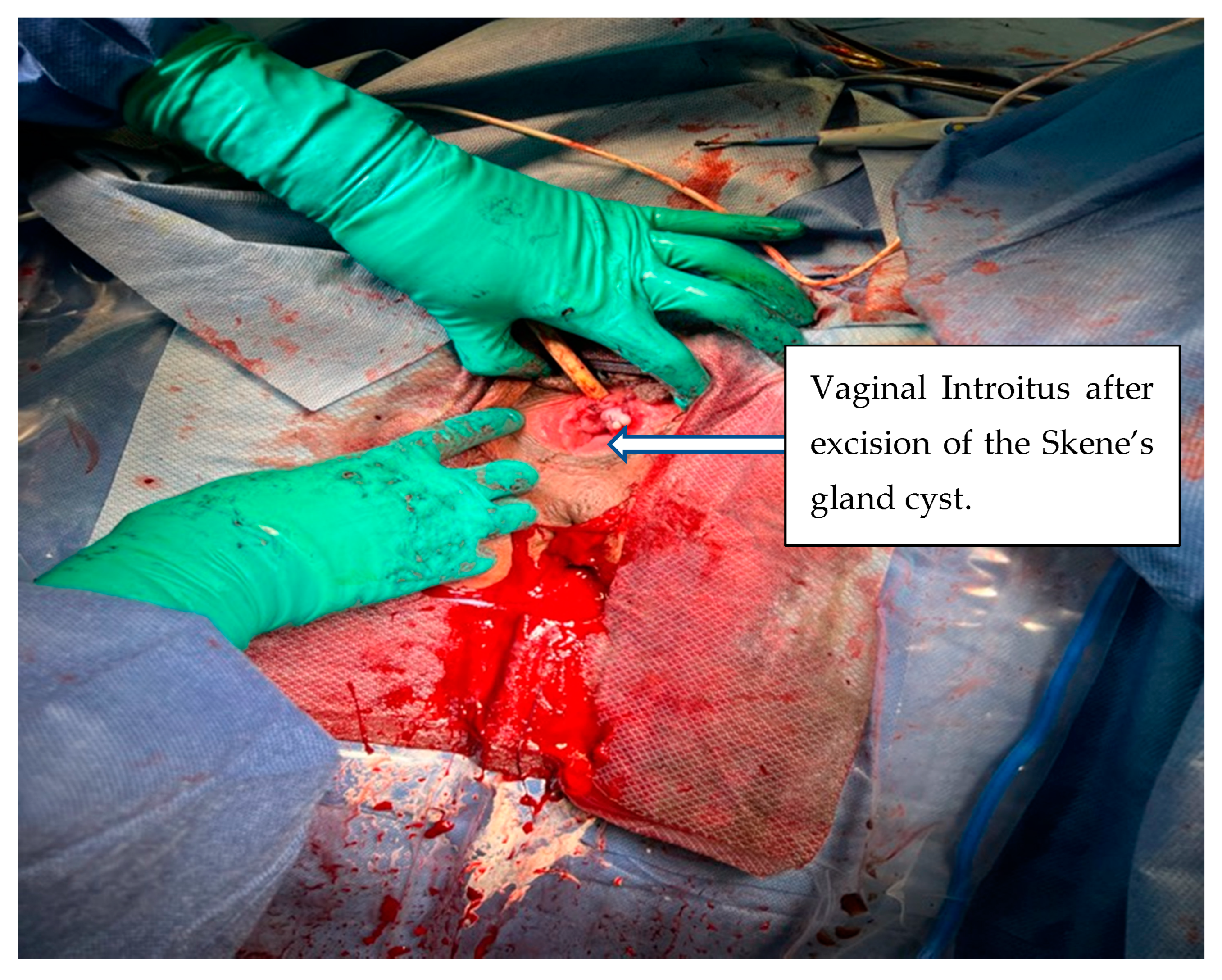 Reprodmed 05 00027 g005