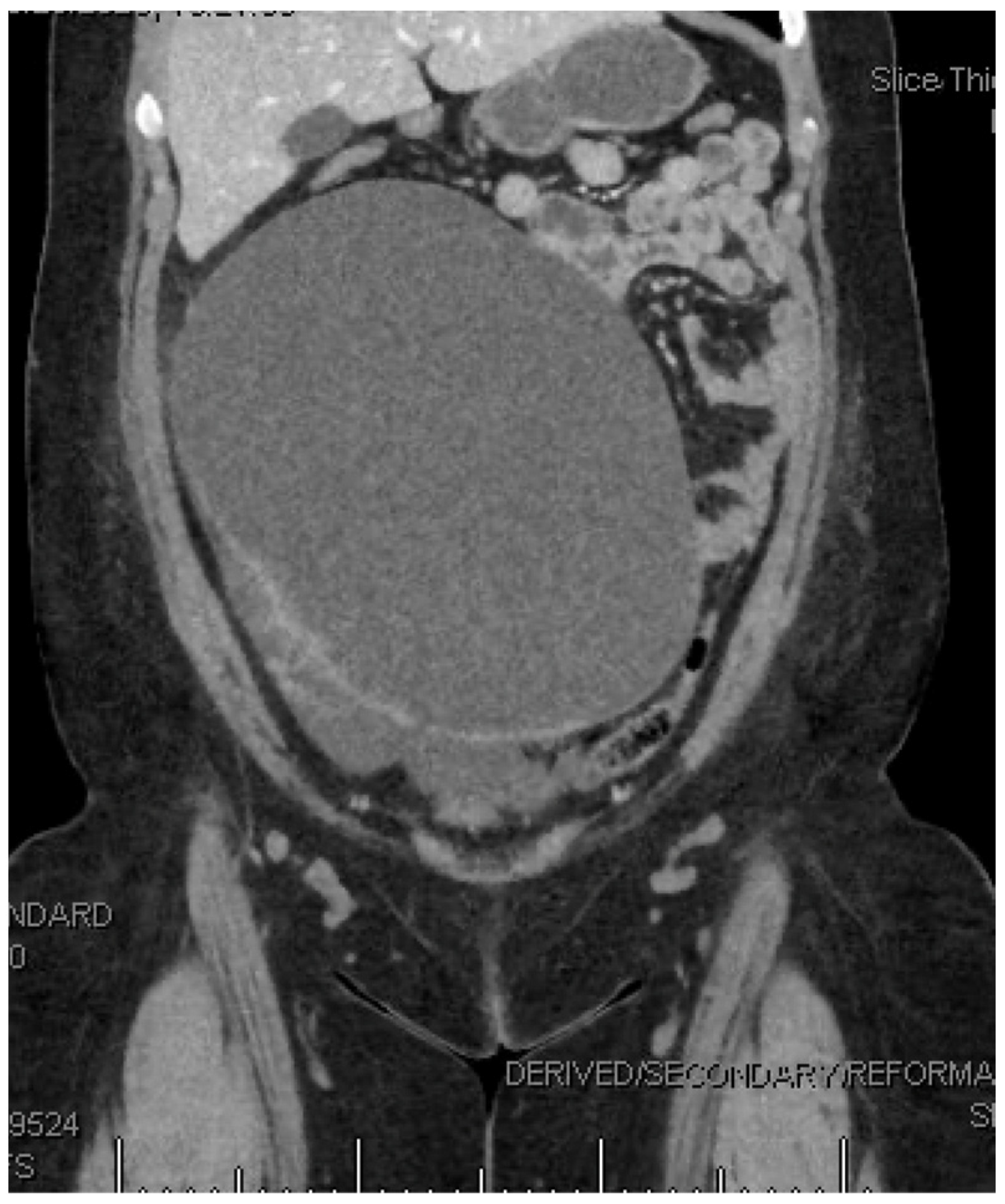 Reprodmed 06 00004 g001