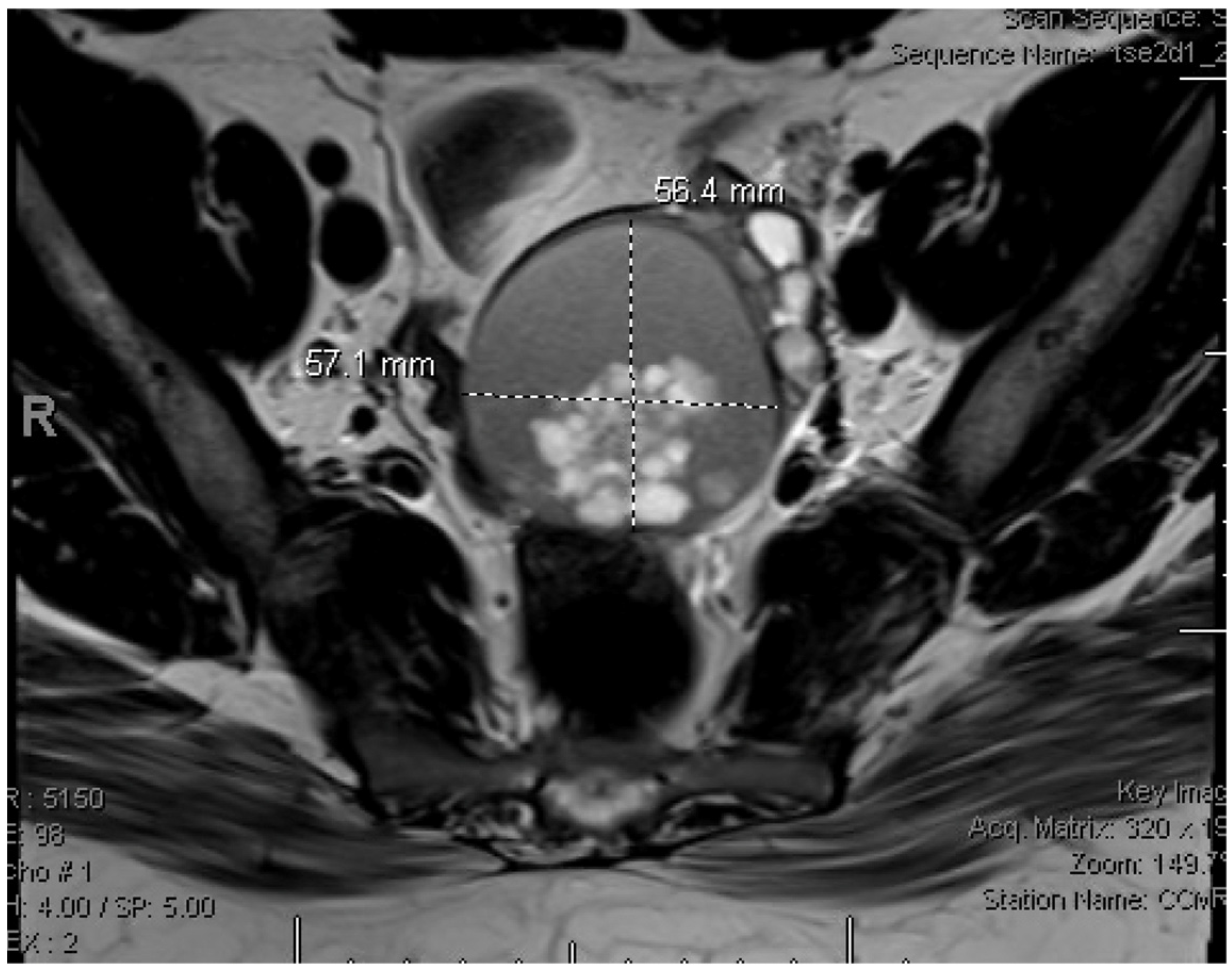 Reprodmed 06 00004 g002