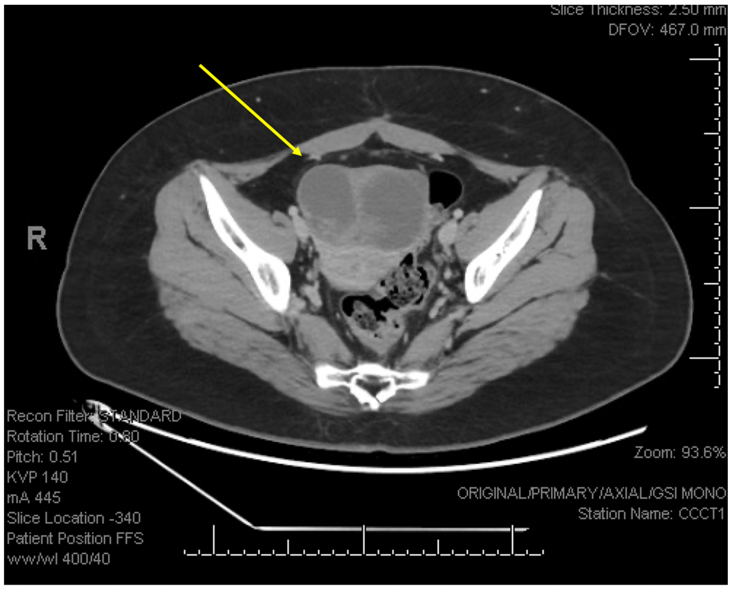 Reprodmed 06 00004 g004