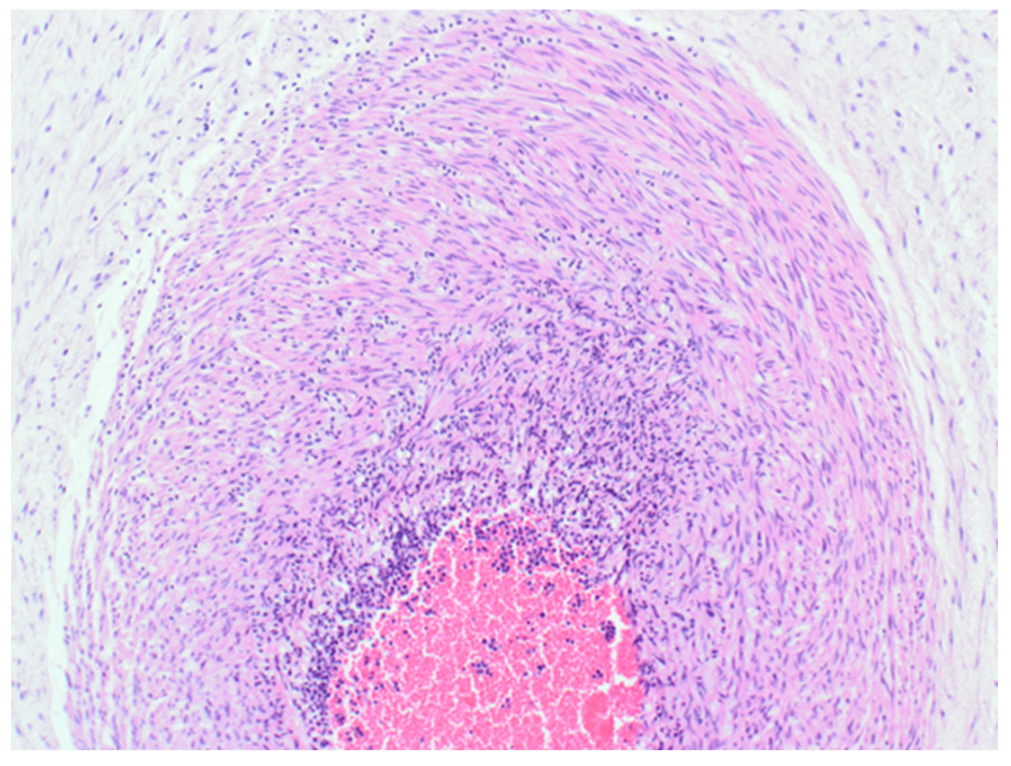 Reprodmed 06 00007 g004