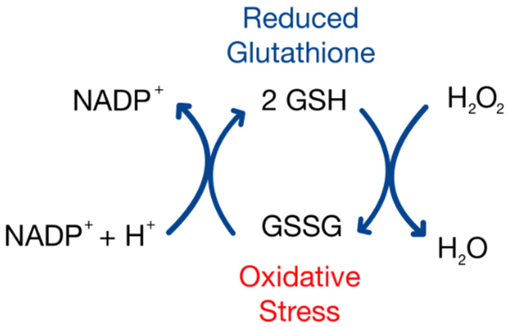 Reprodmed 06 00013 g004