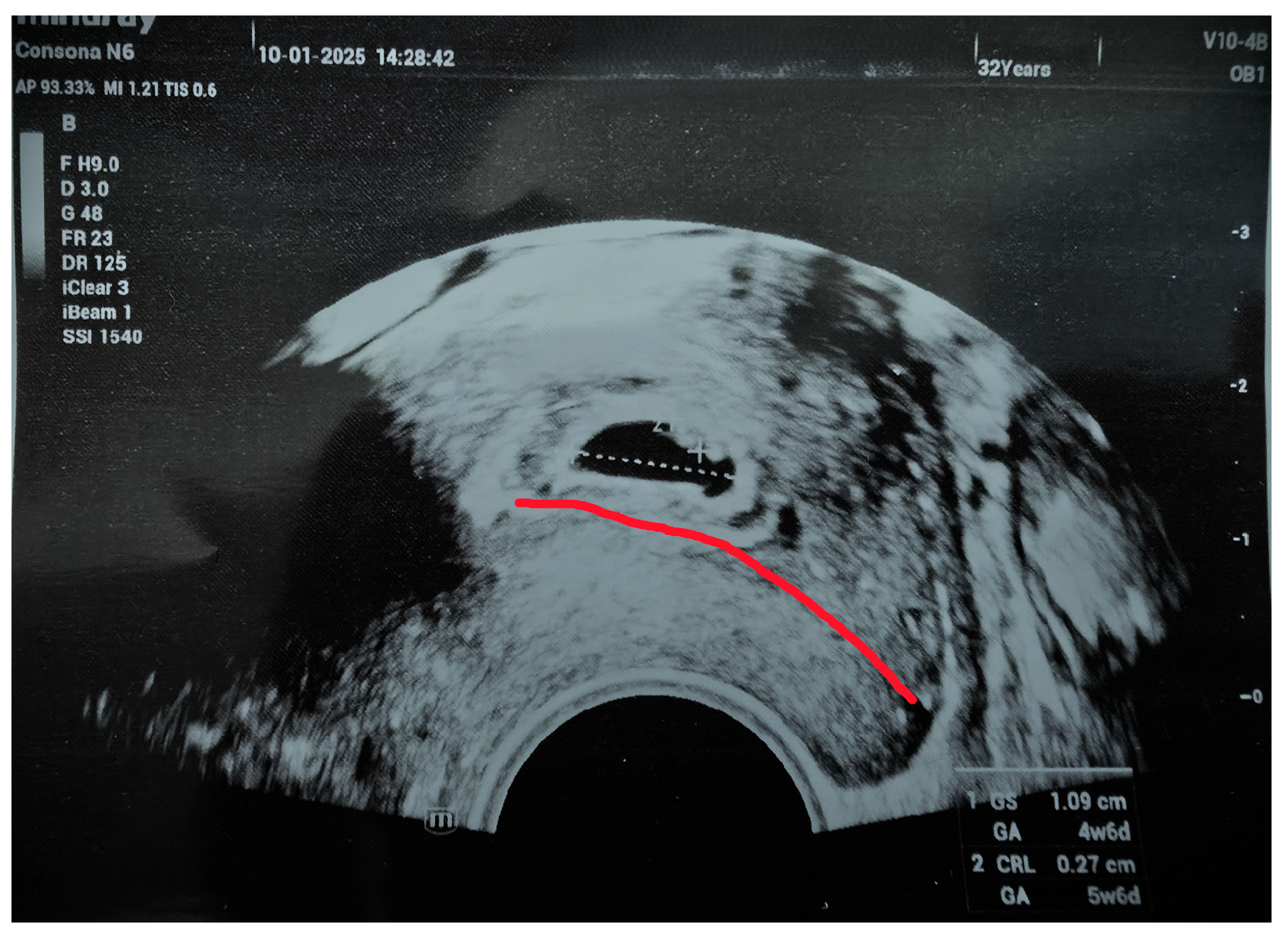 Reprodmed 06 00021 g002