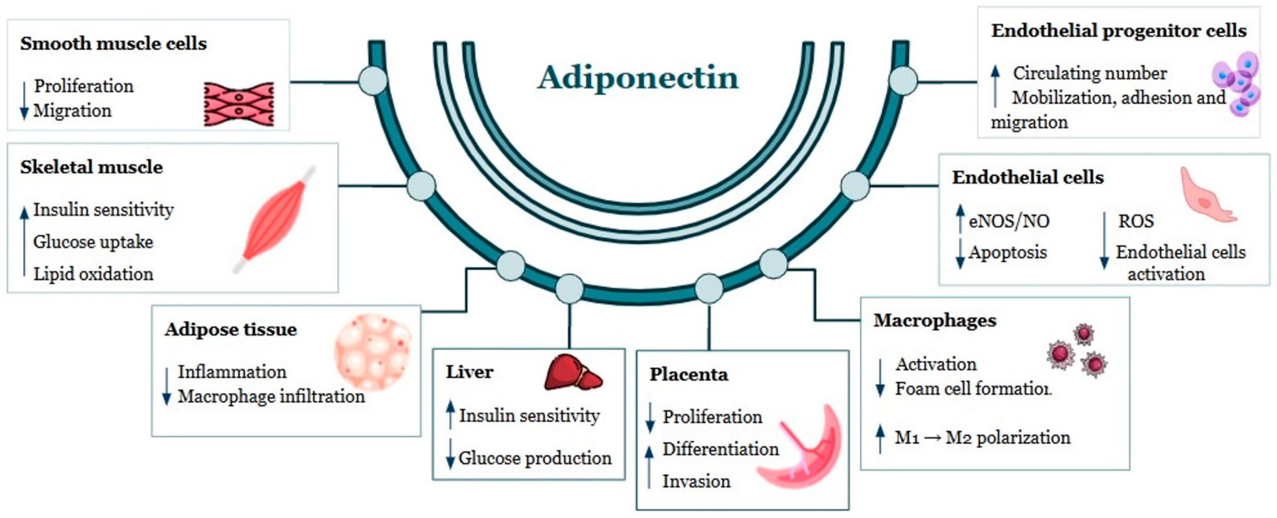 Reprodmed 06 00029 g001 Reprodmed 06 00029 g001