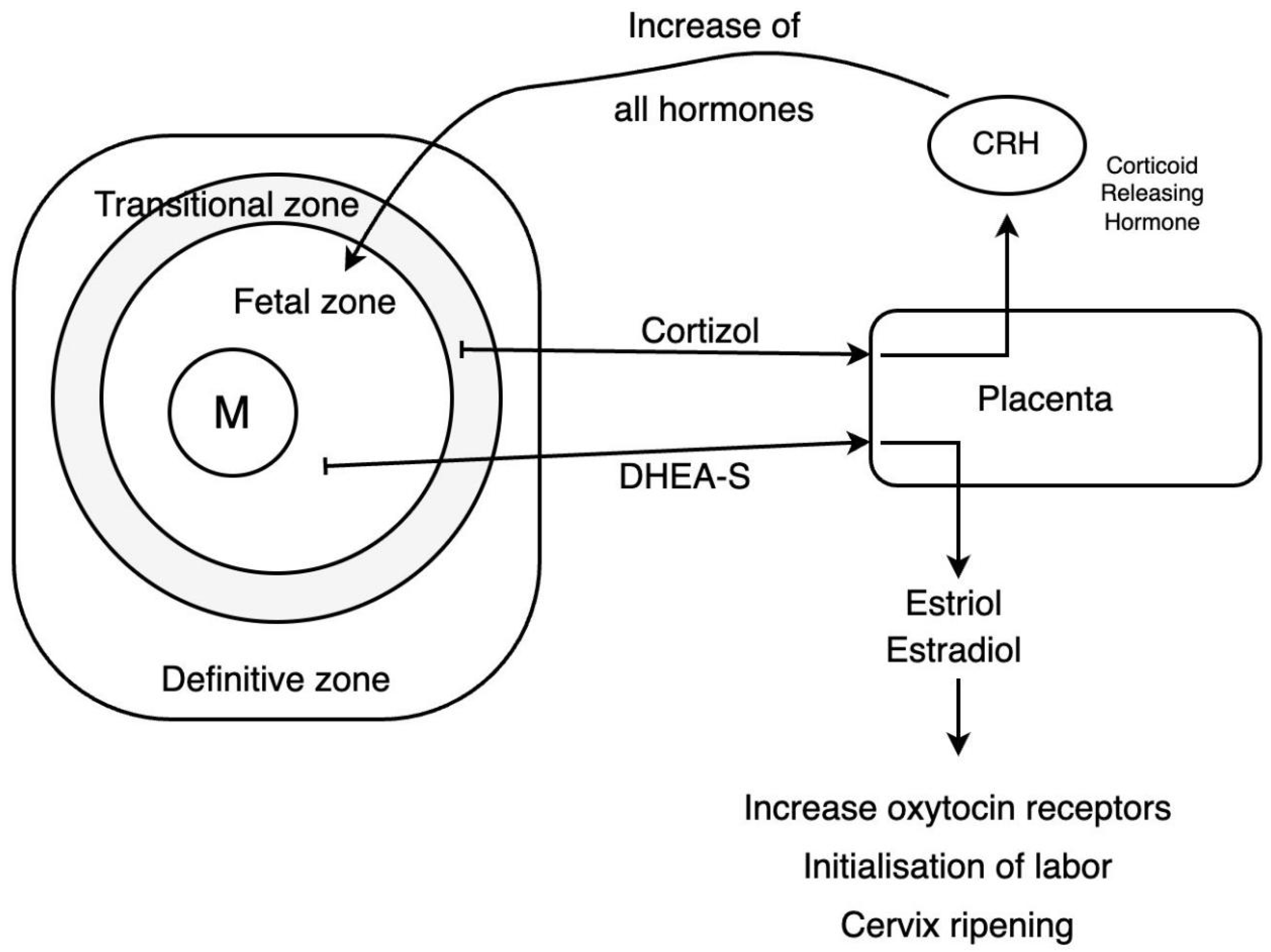 Reprodmed 06 00031 g004 Reprodmed 06 00031 g004