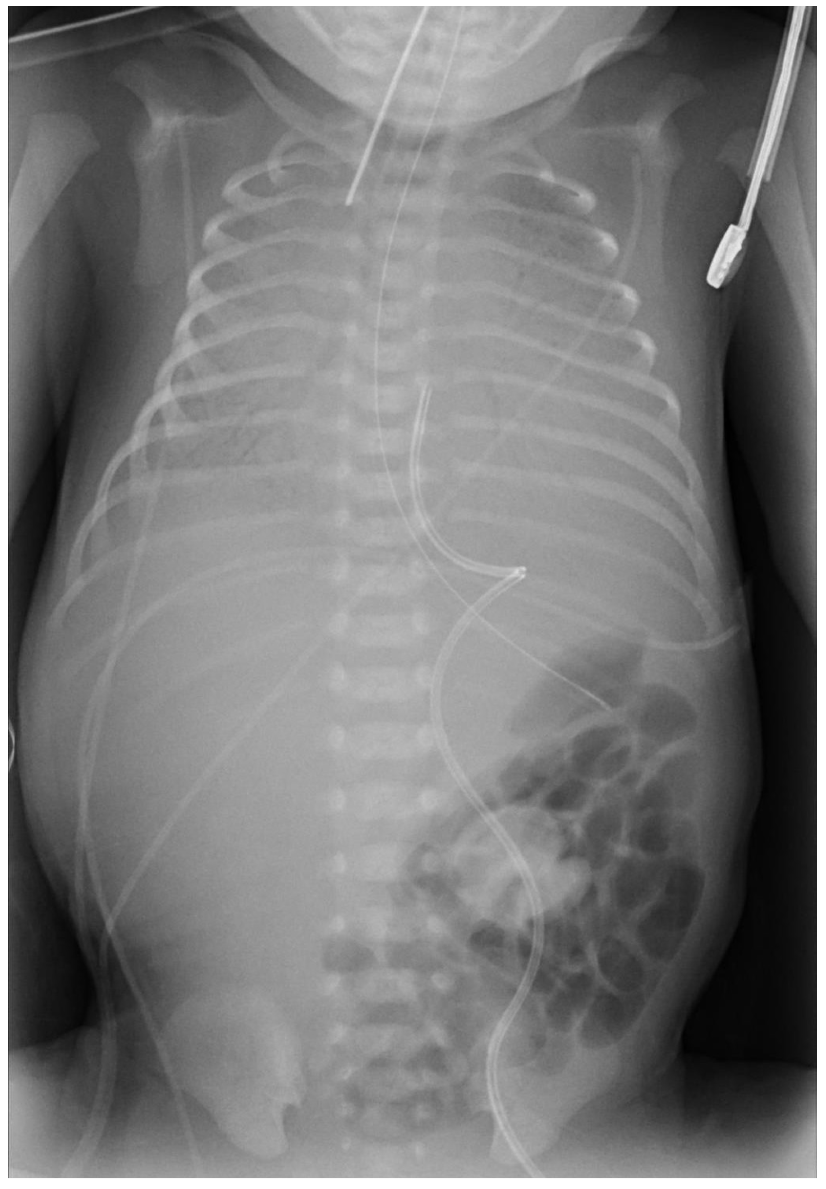 Reprodmed 06 00036 g004 Reprodmed 06 00036 g004