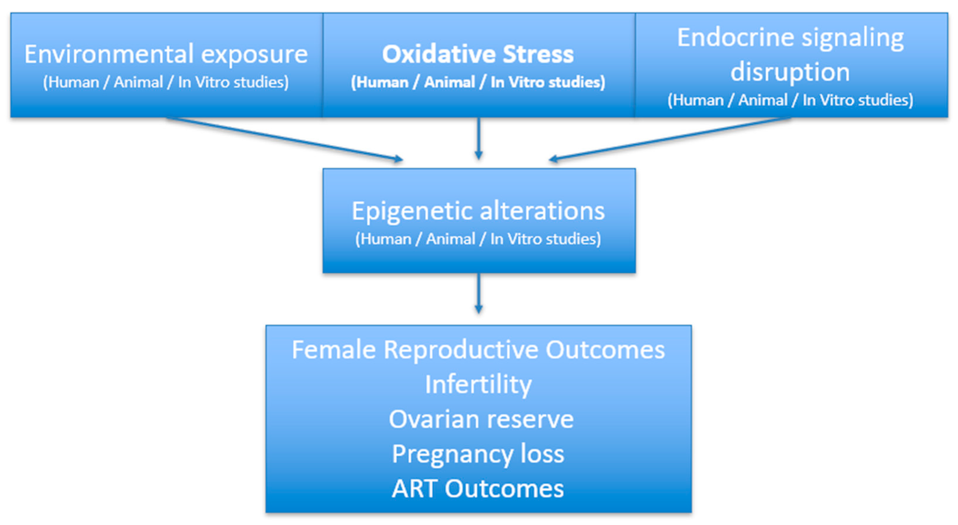 Reprodmed 06 00037 g001