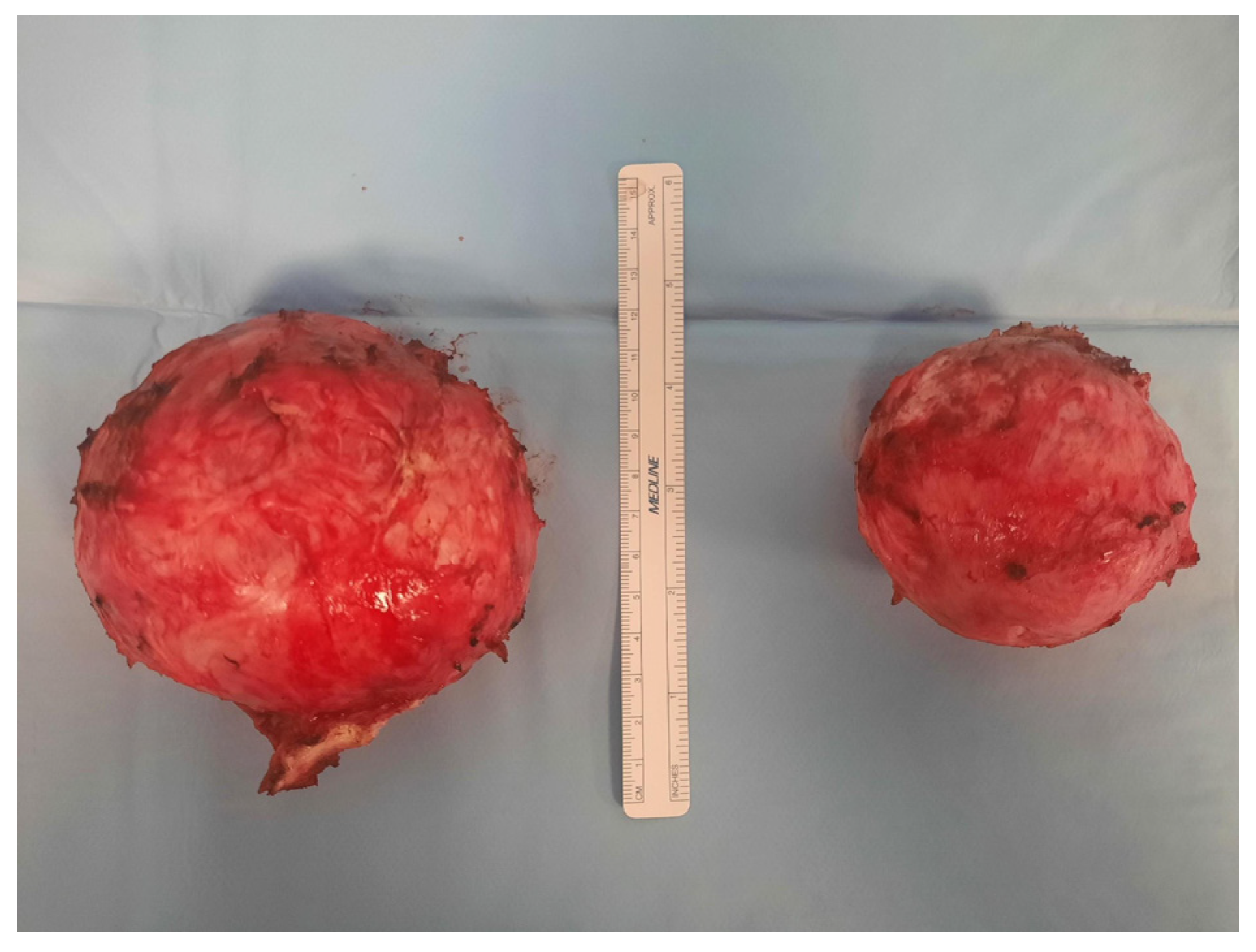 Reprodmed 06 00040 g004 Reprodmed 06 00040 g004