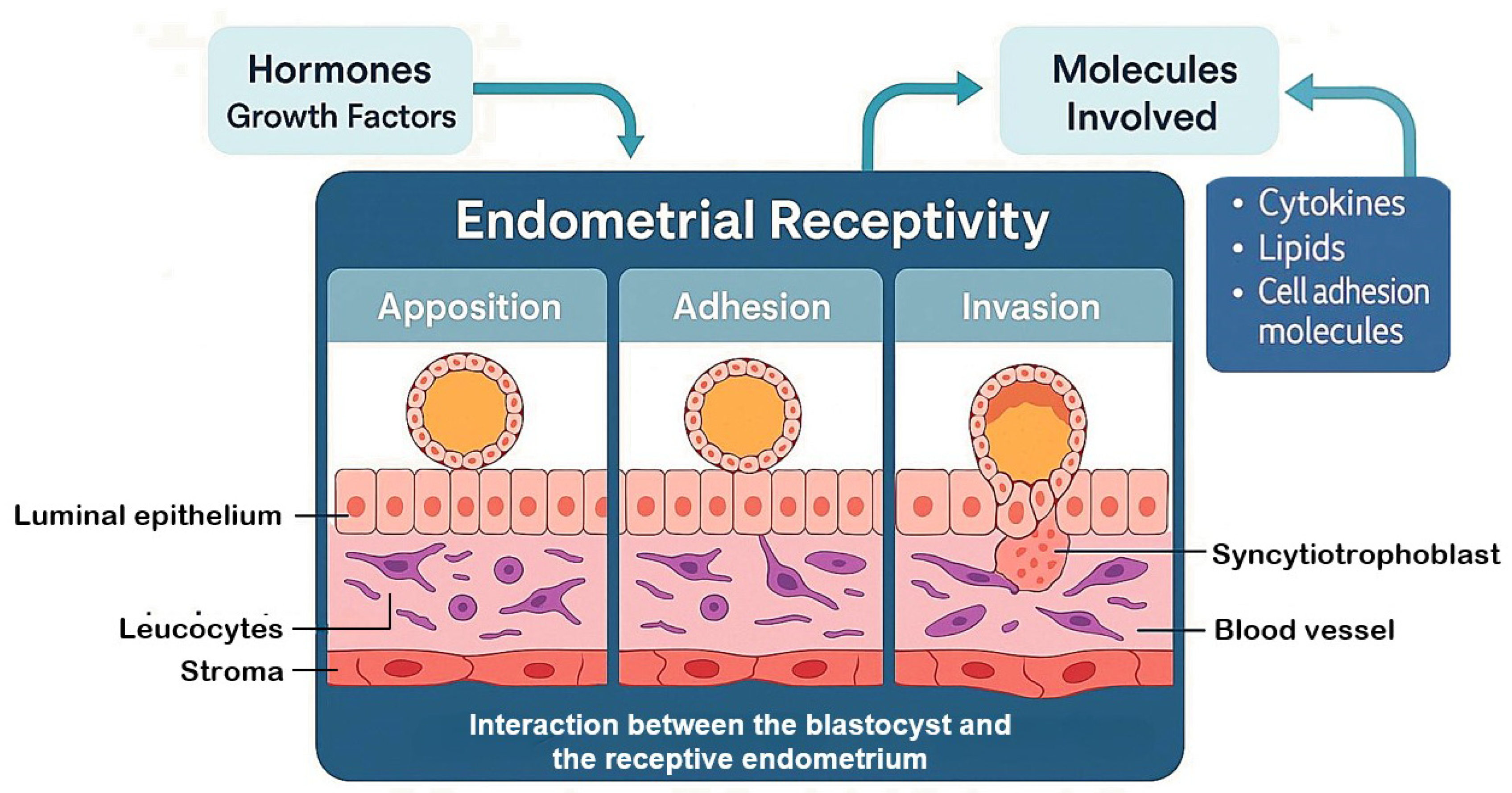 Reprodmed 07 00002 g001 Reprodmed 07 00002 g001
