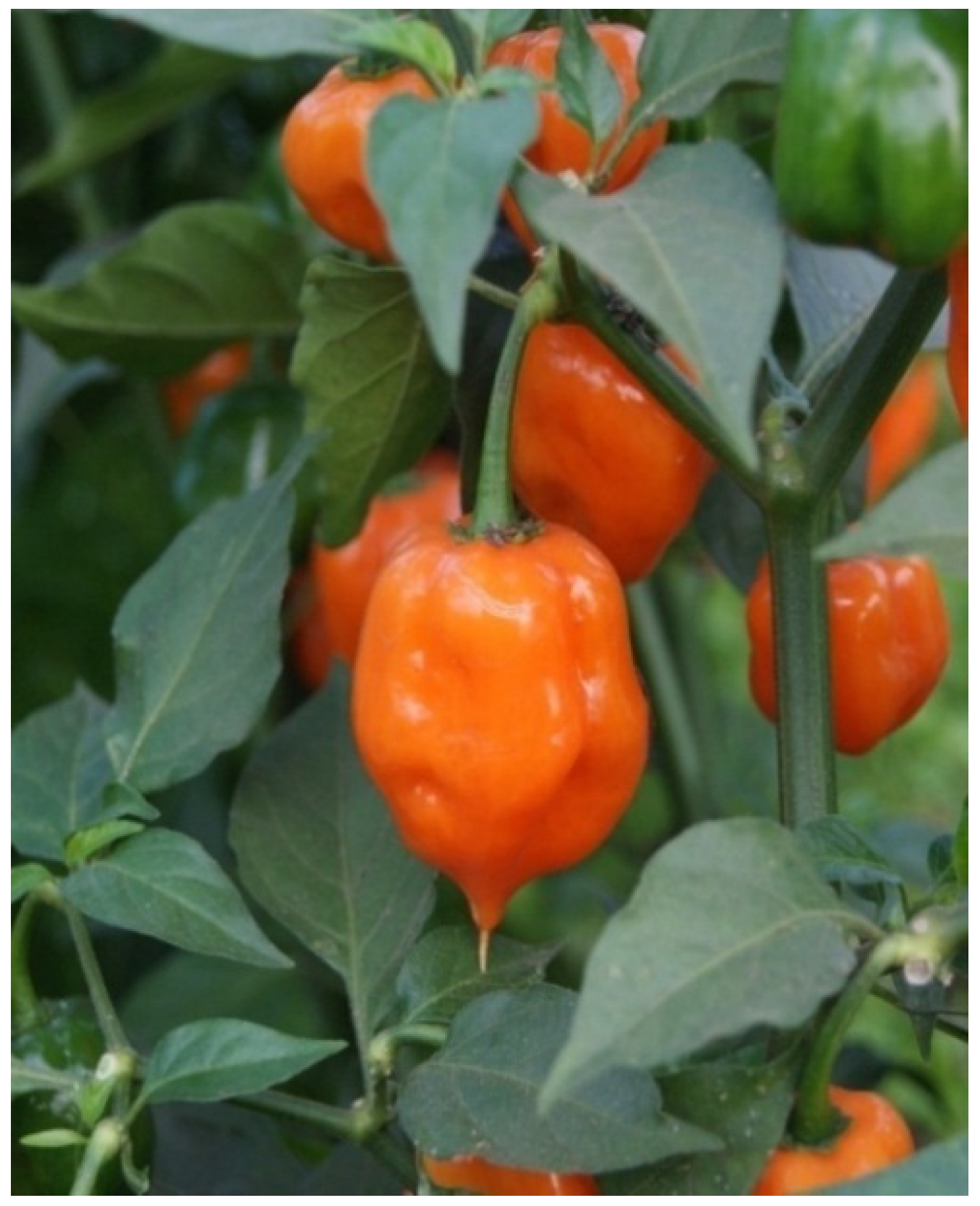 Resources 04 00277 g002 1024