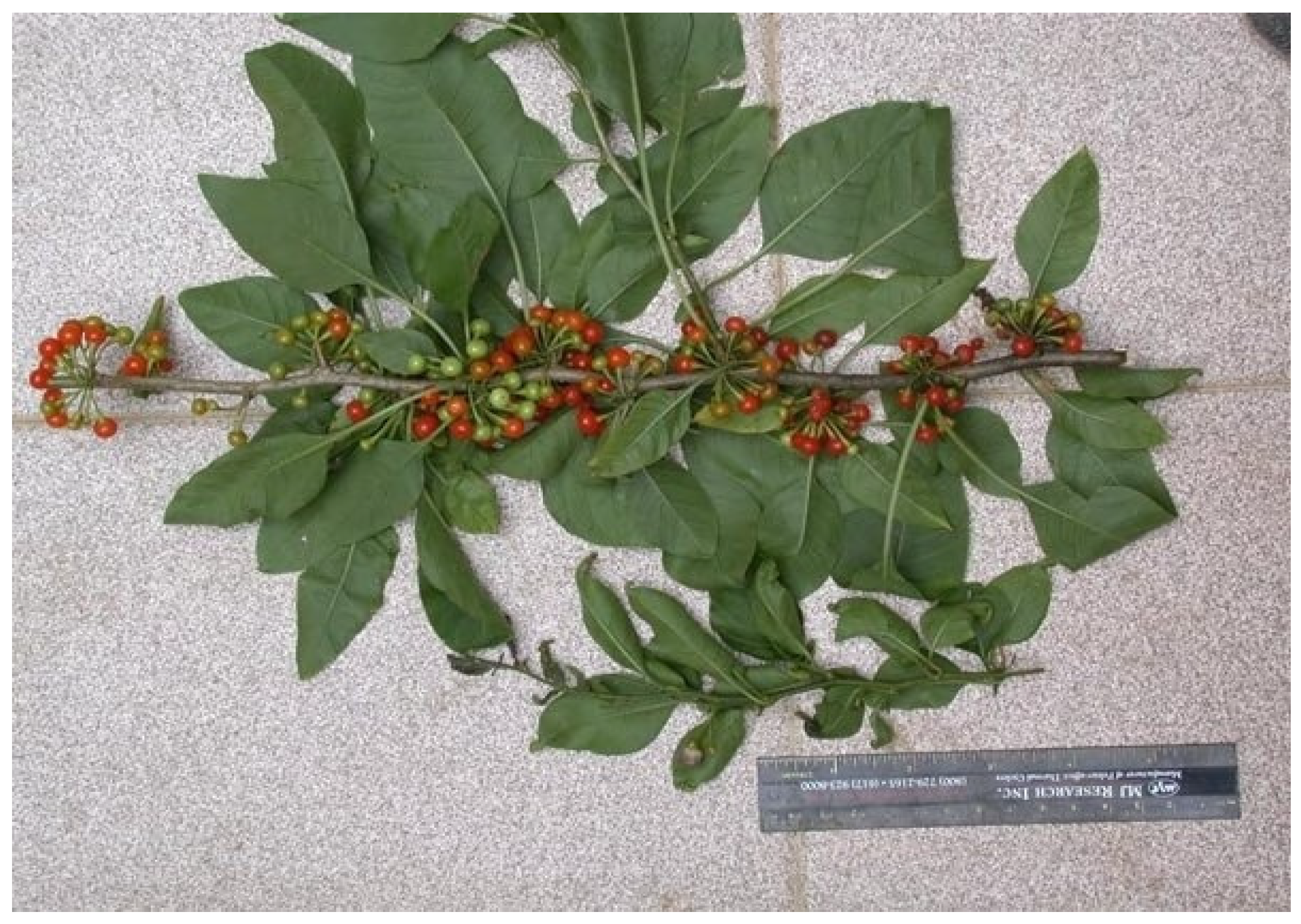 Resources 04 00277 g011 1024