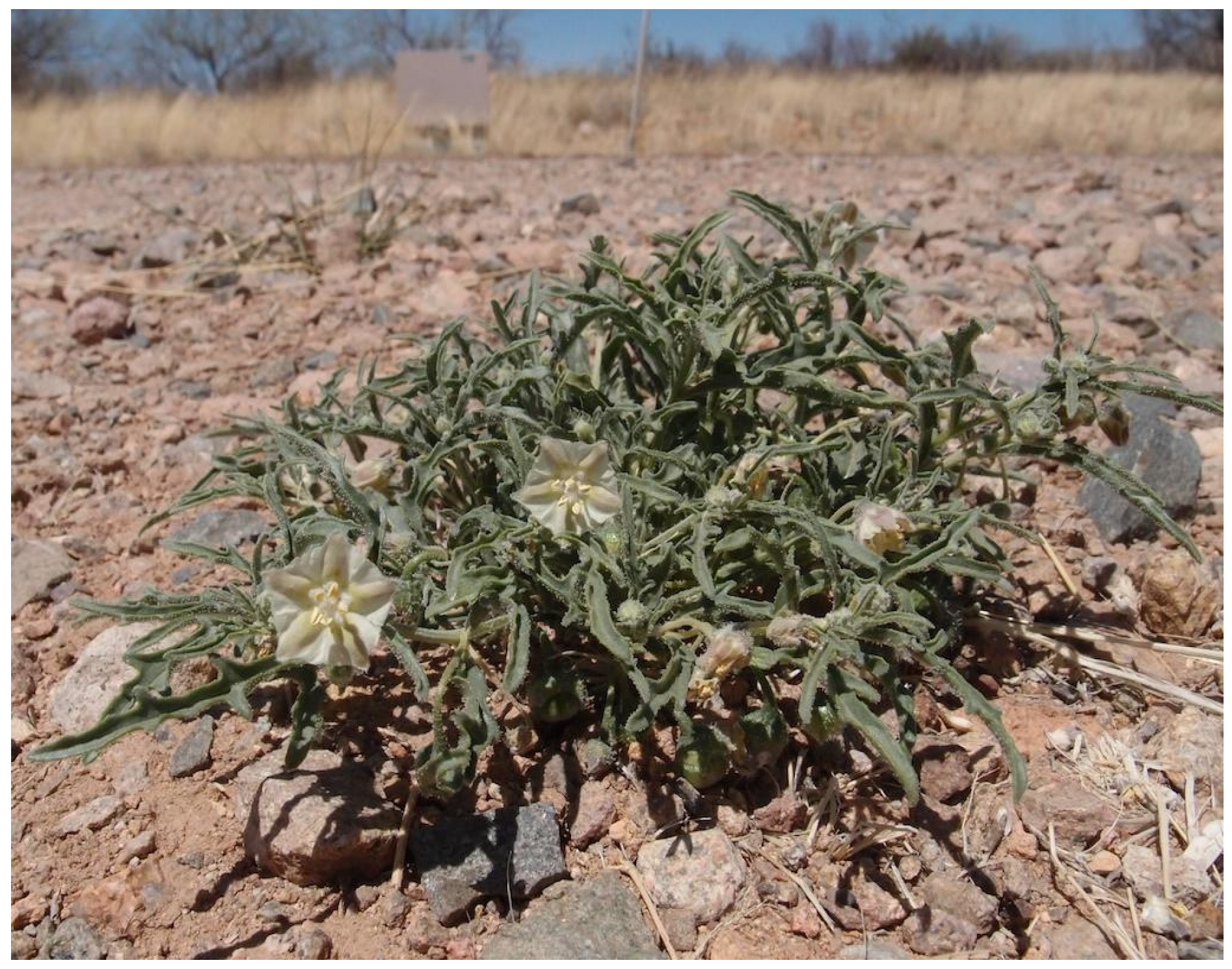 Resources 04 00277 g012 1024