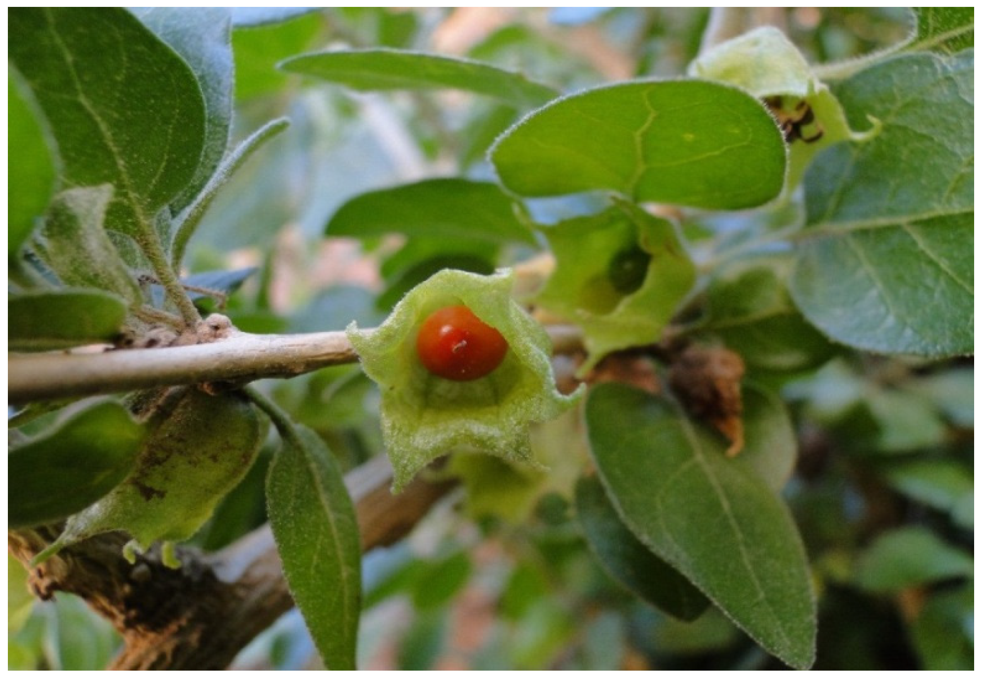 Resources 04 00277 g017 1024