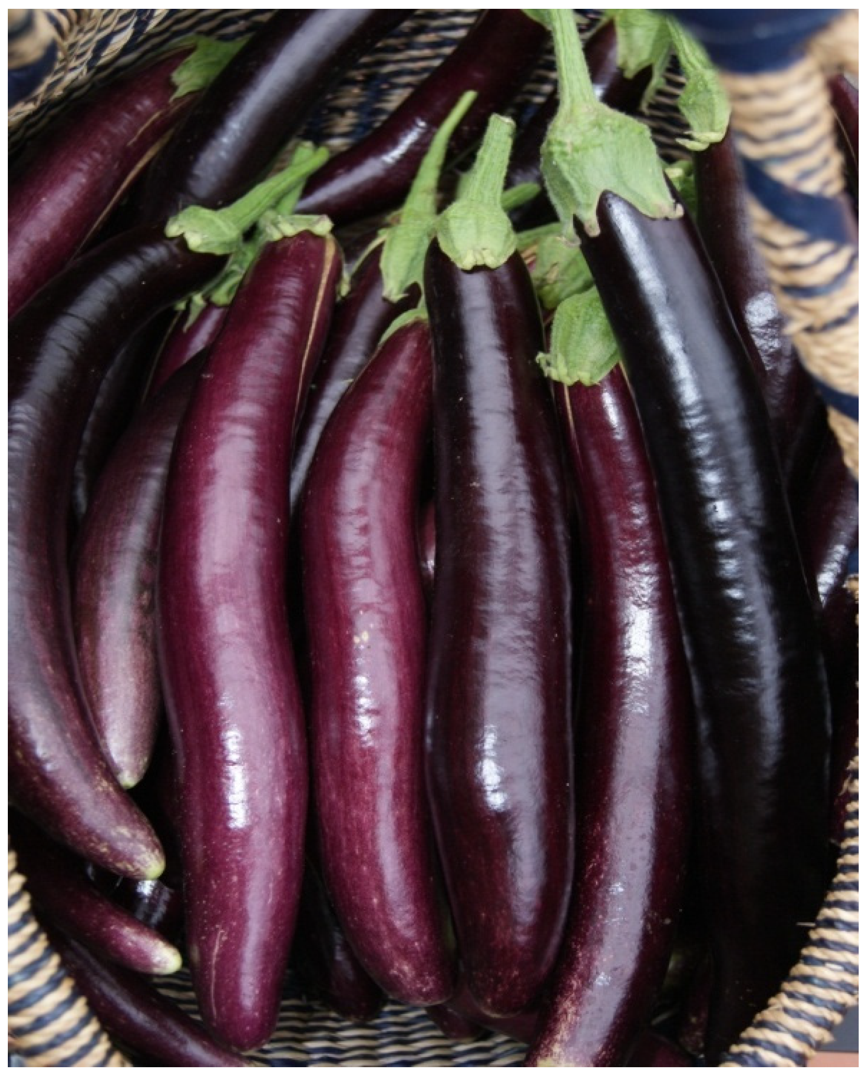 Resources 04 00277 g033 1024