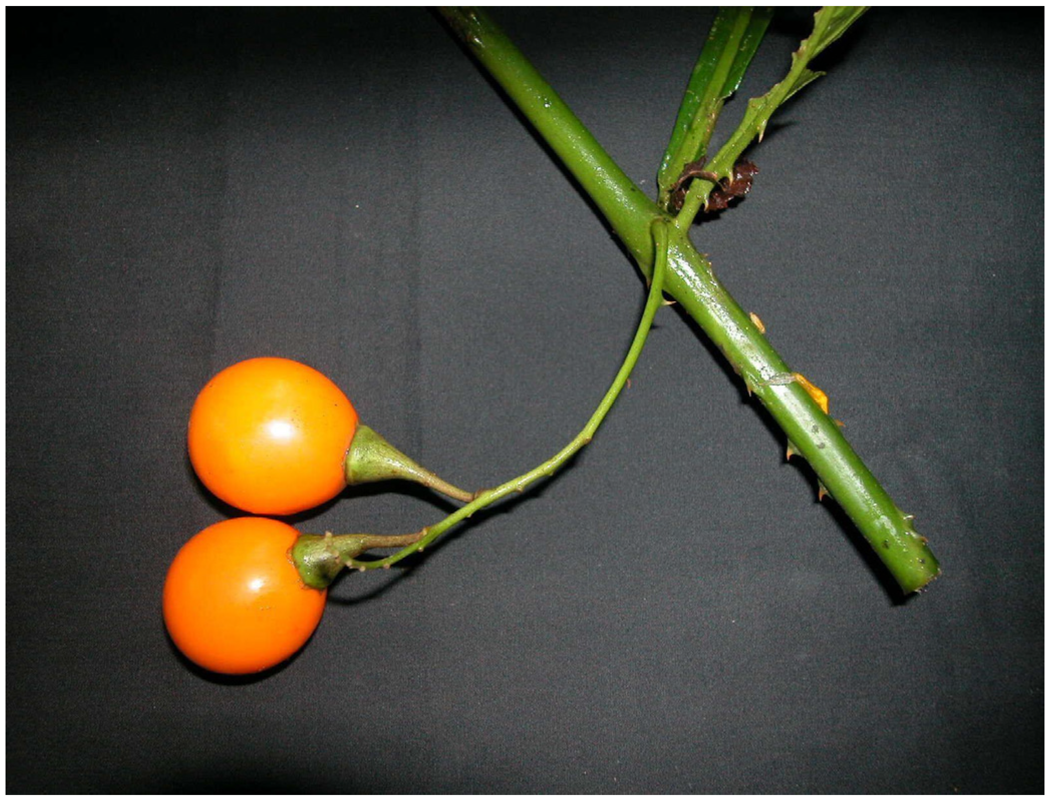 Resources 04 00277 g035 1024