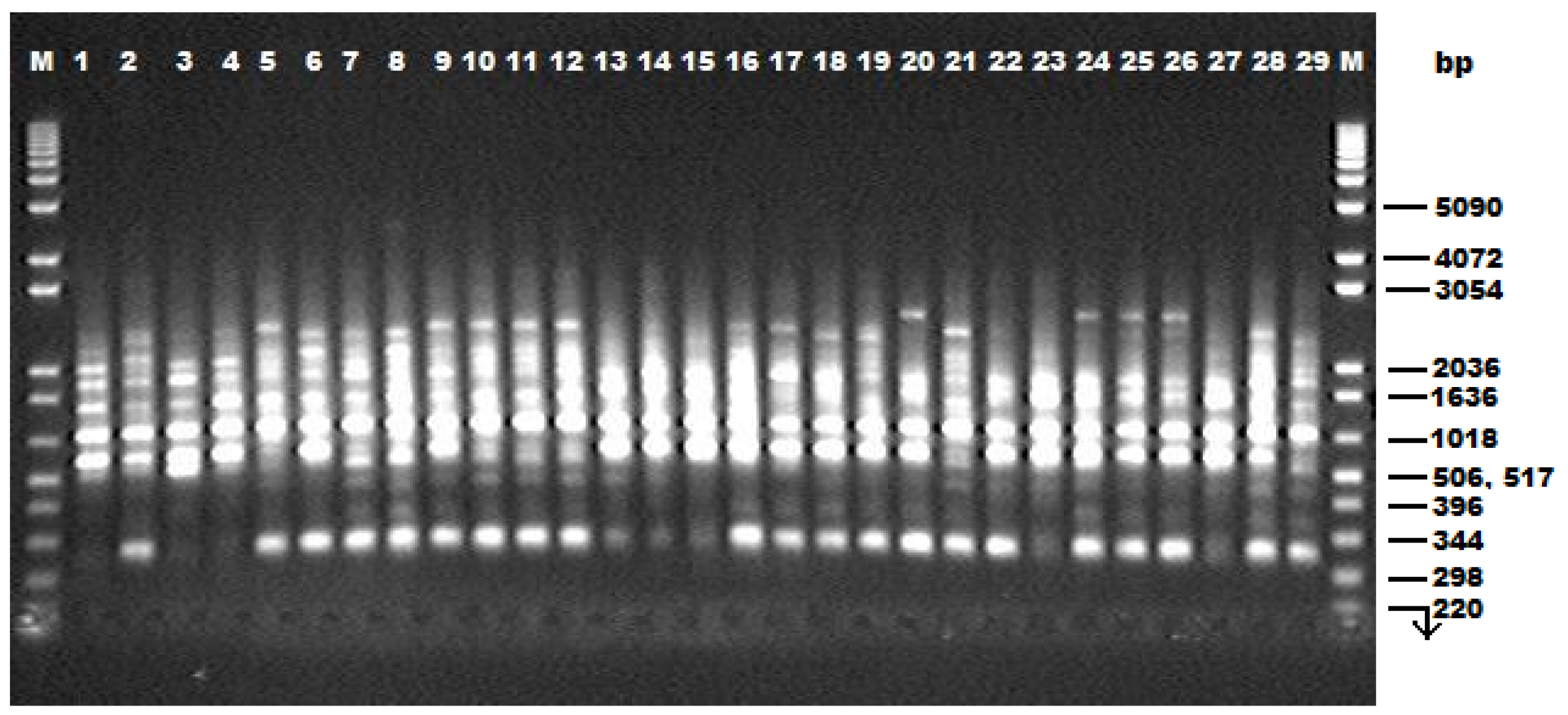 Resources 05 00006 g002 1024