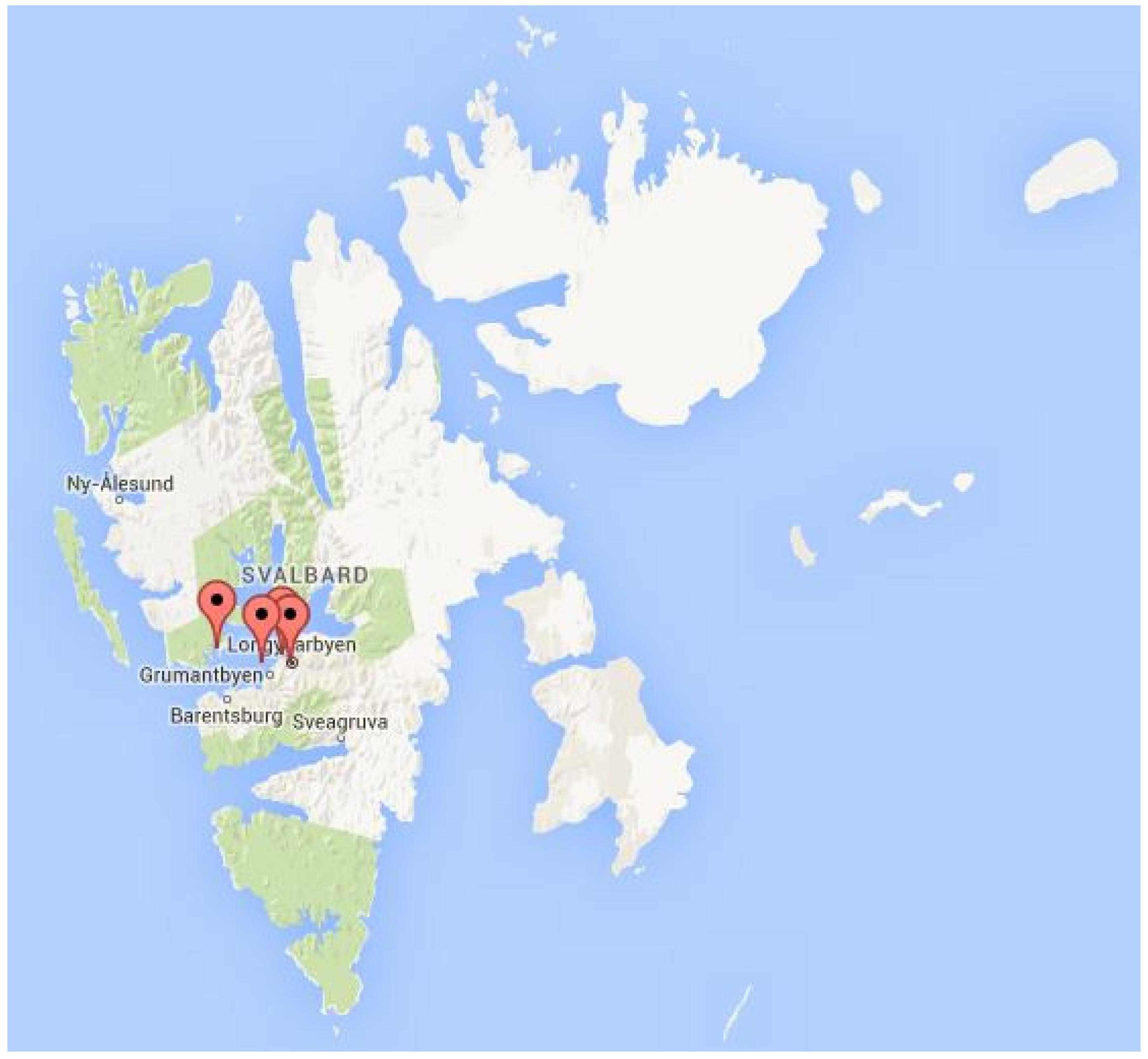 ortelius ship ais ortelius ship ais