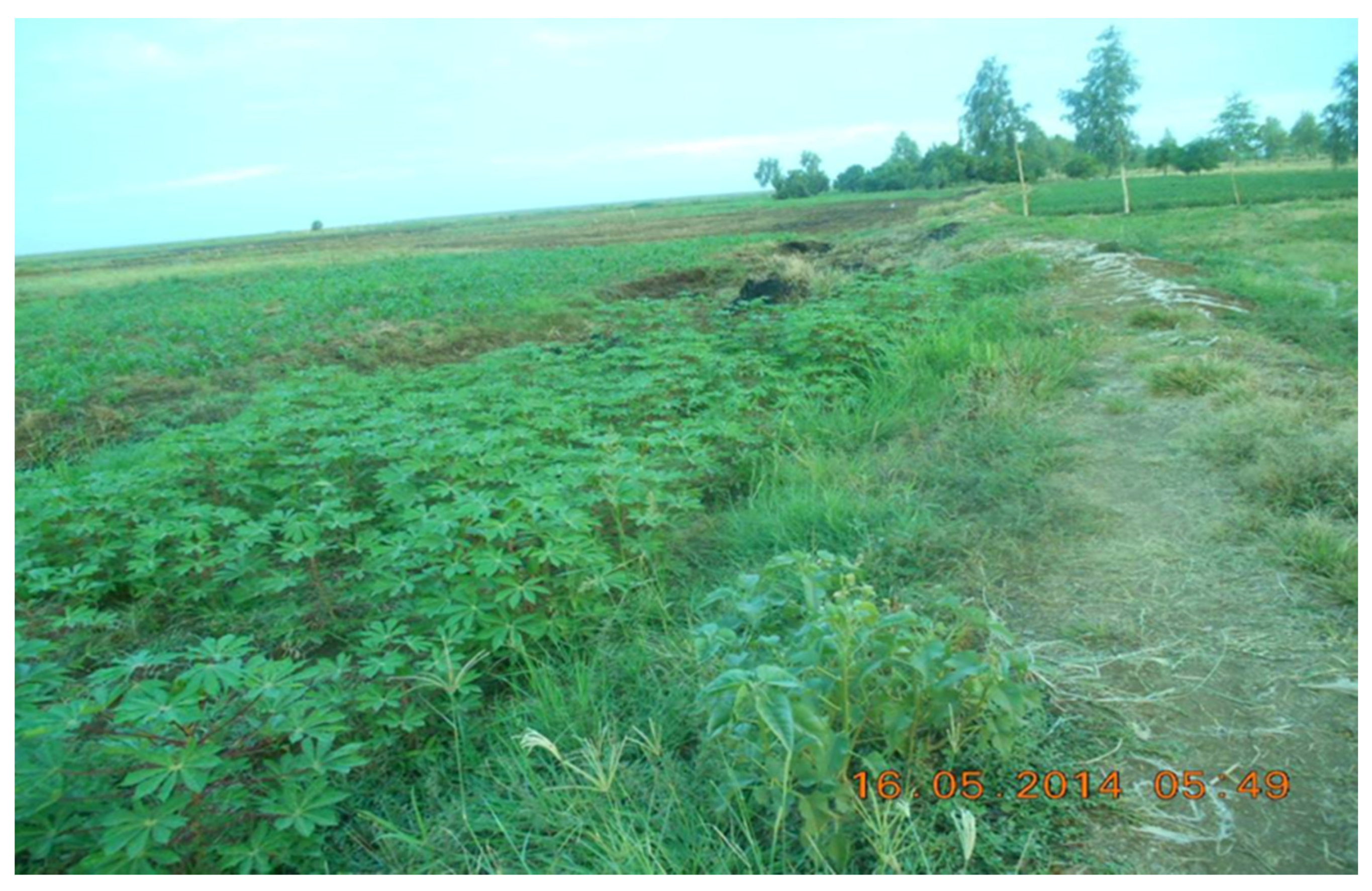 Resources 06 00041 g006 550