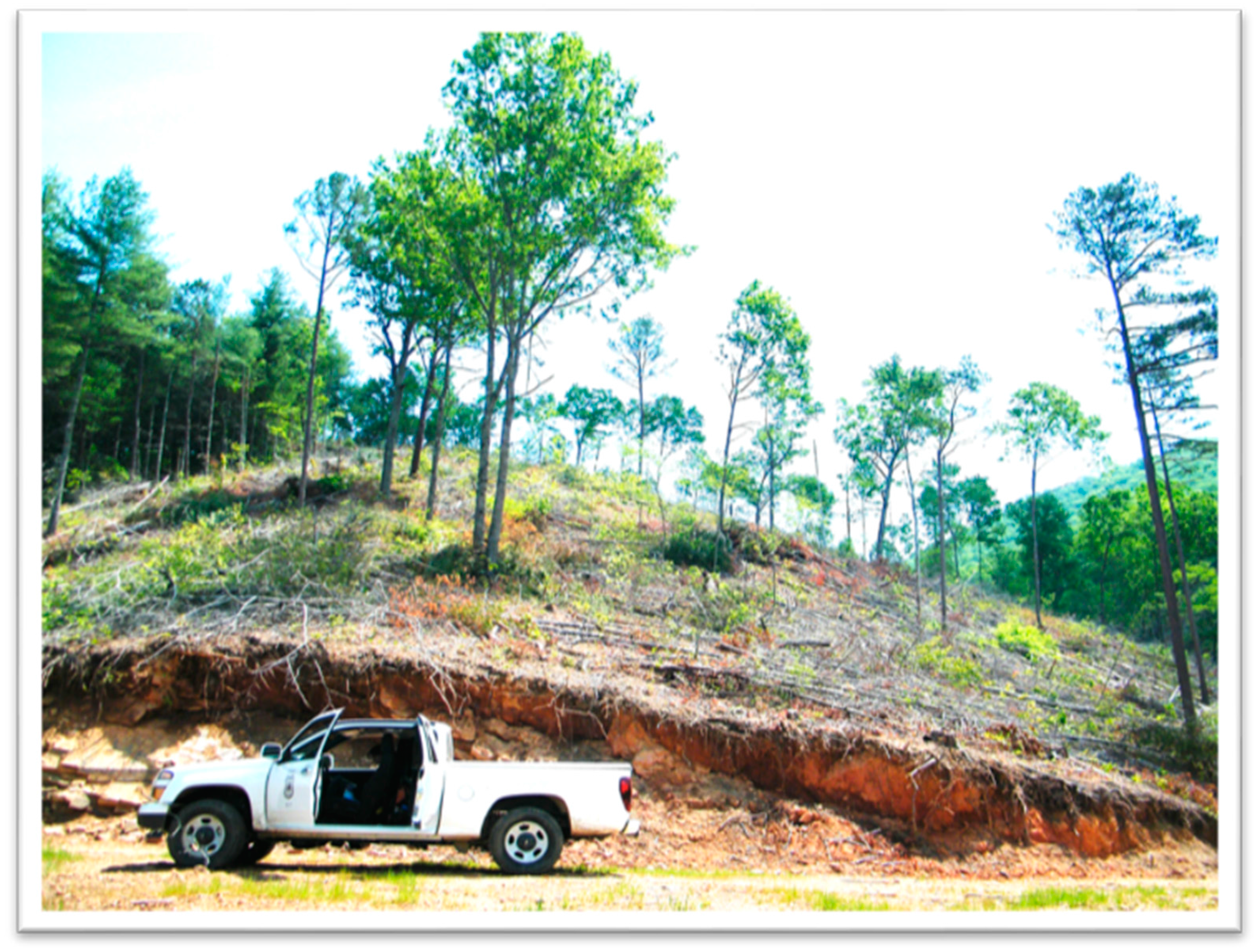 Resources 06 00053 g002