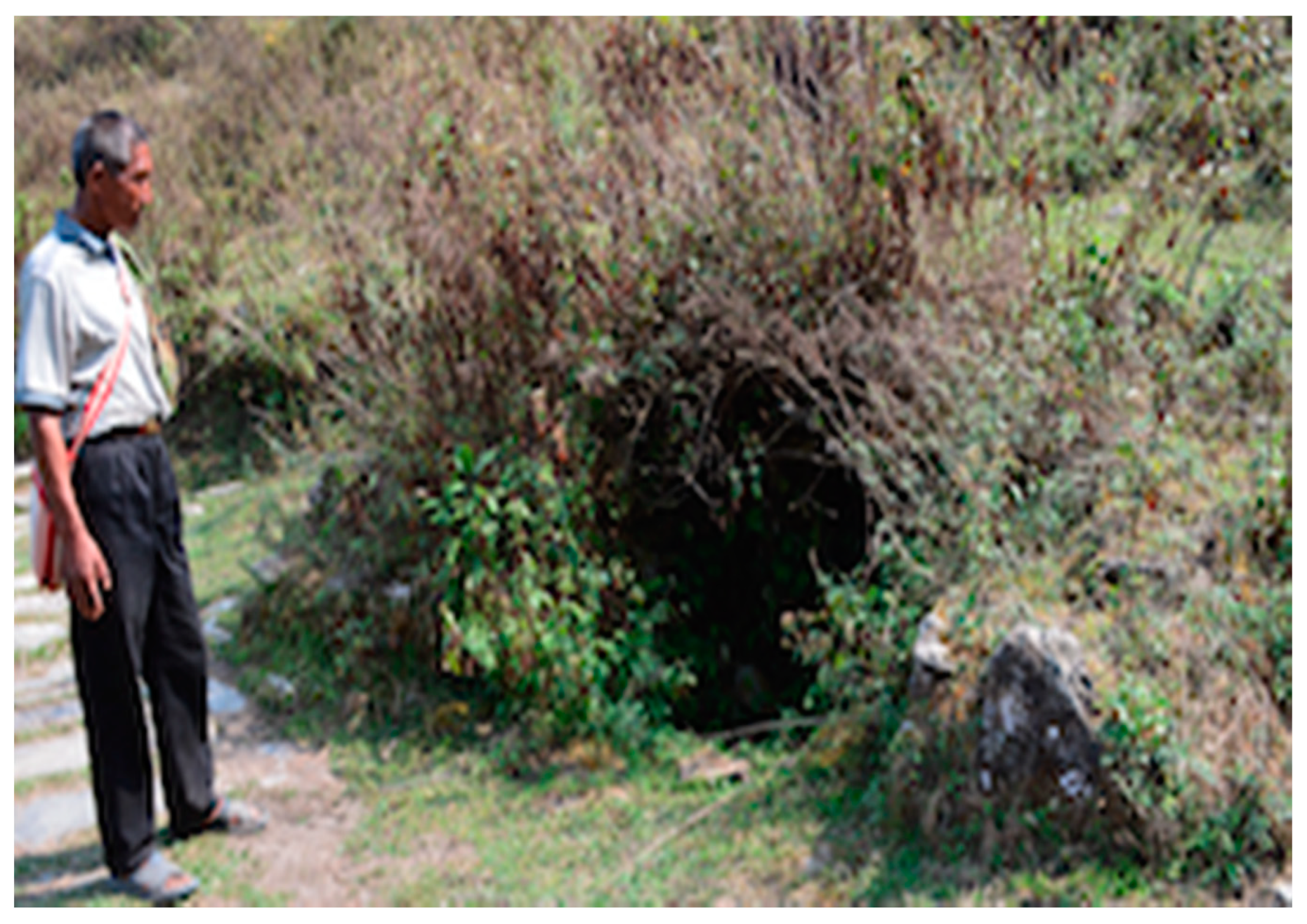 Resources 08 00004 g006