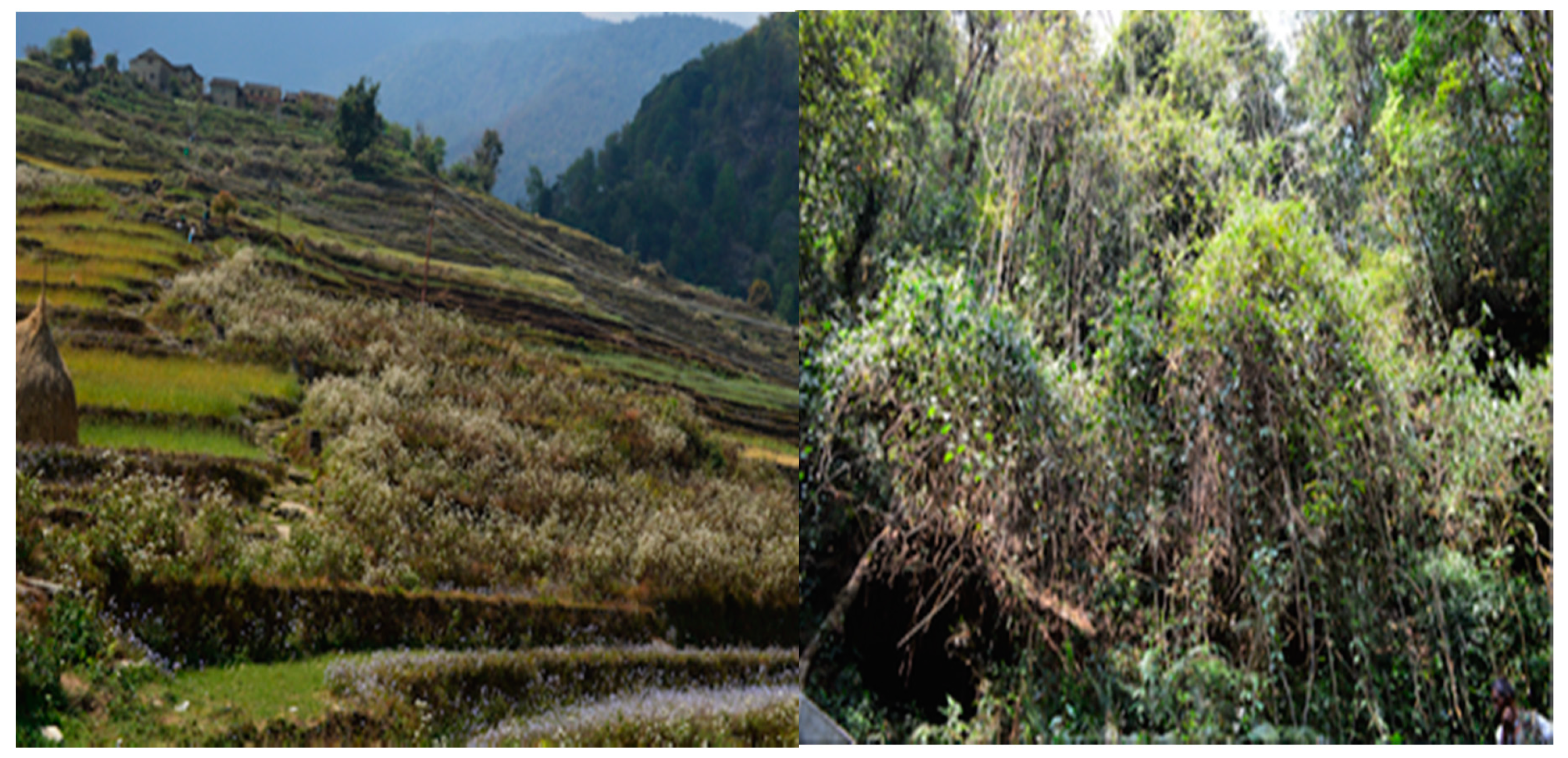 Resources 08 00004 g007