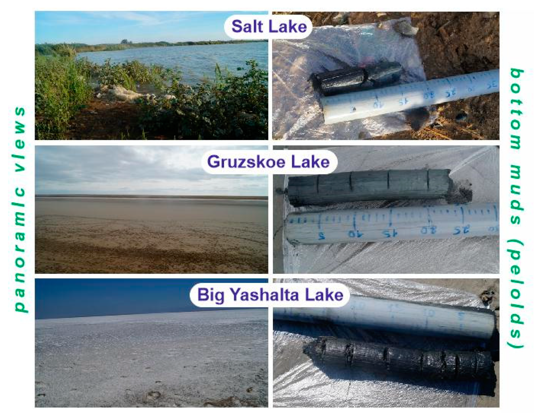 Resources 08 00075 g002 550