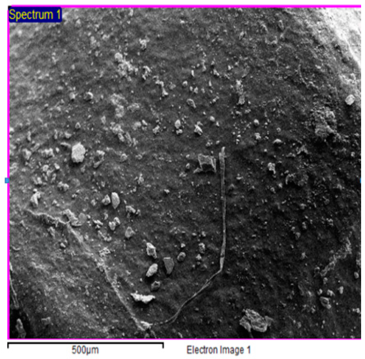 Resources 08 00133 g001 Resources 08 00133 g001