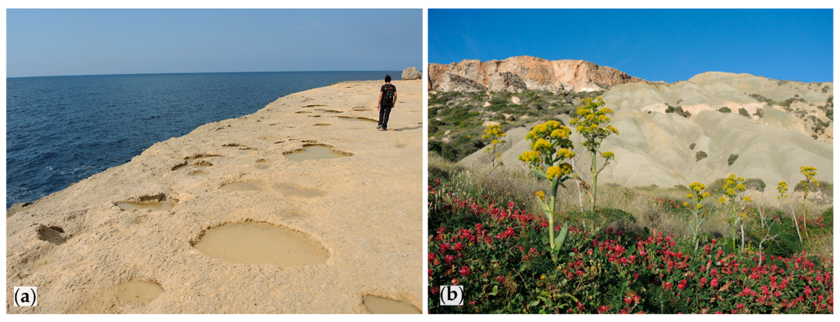 Resources 08 00168 g003