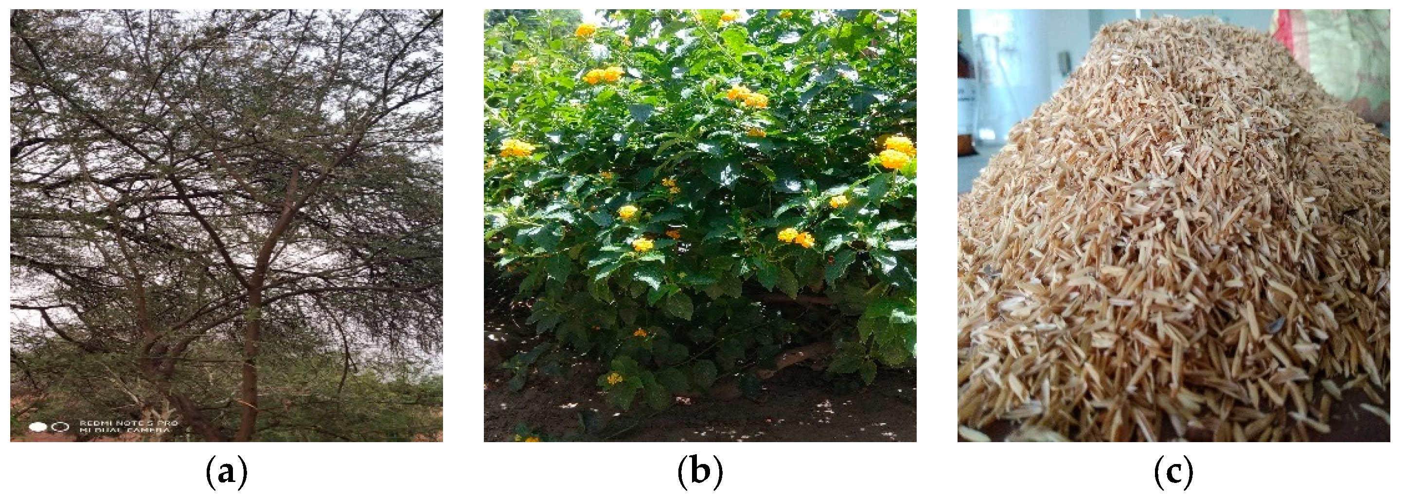 Resources 08 00180 g001 Resources 08 00180 g001