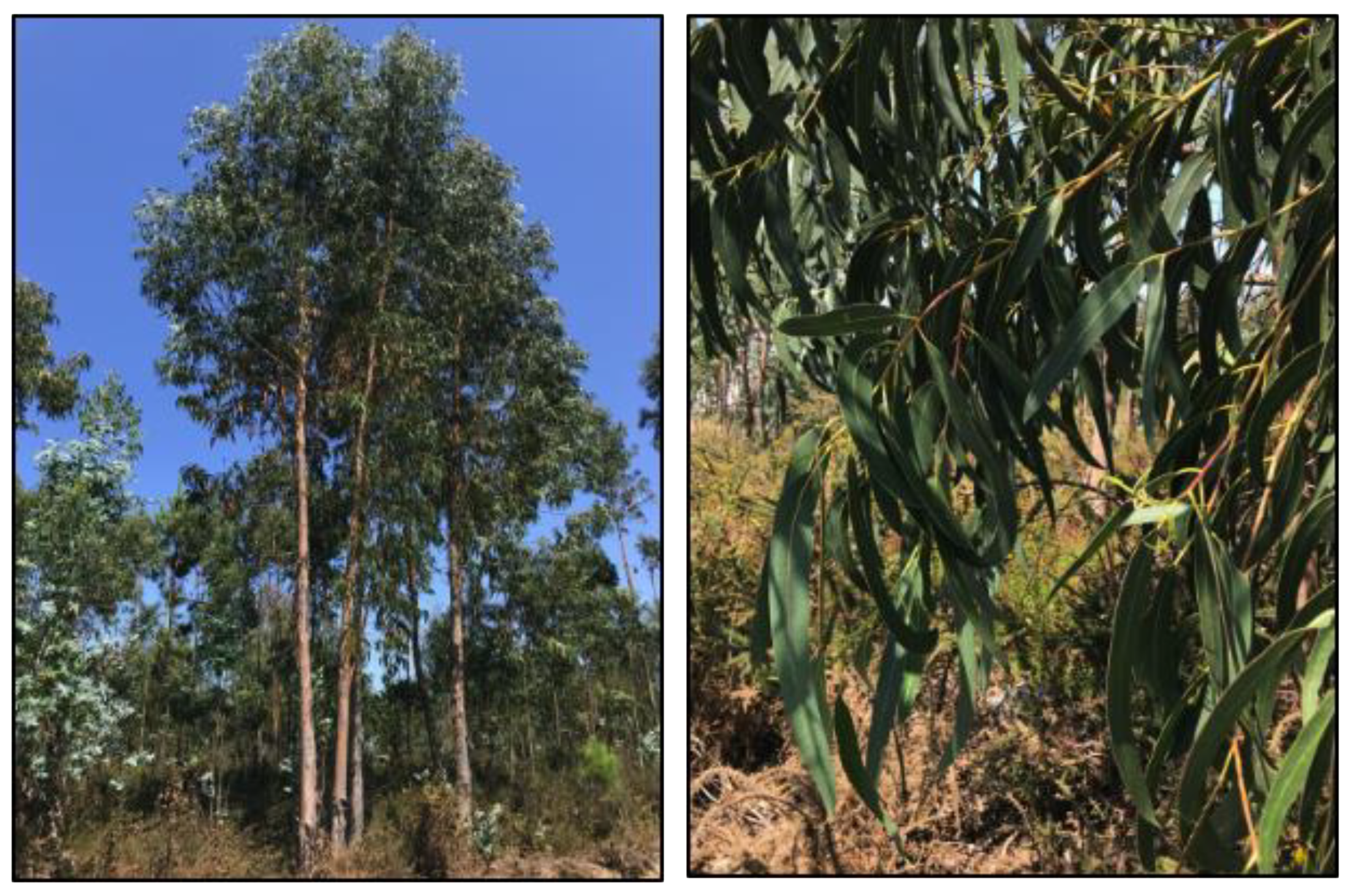 Resources 09 00054 g002 Resources 09 00054 g002